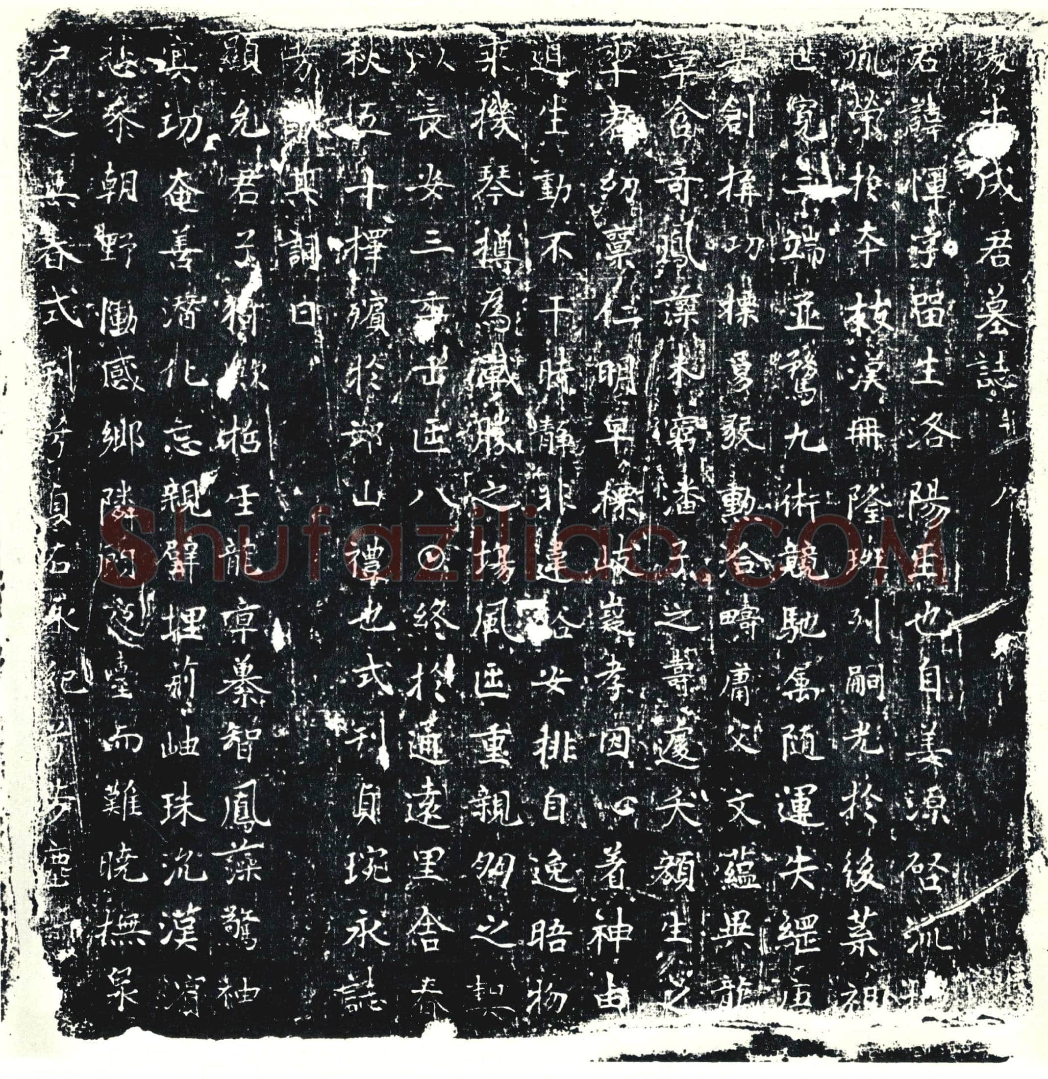 唐墓誌