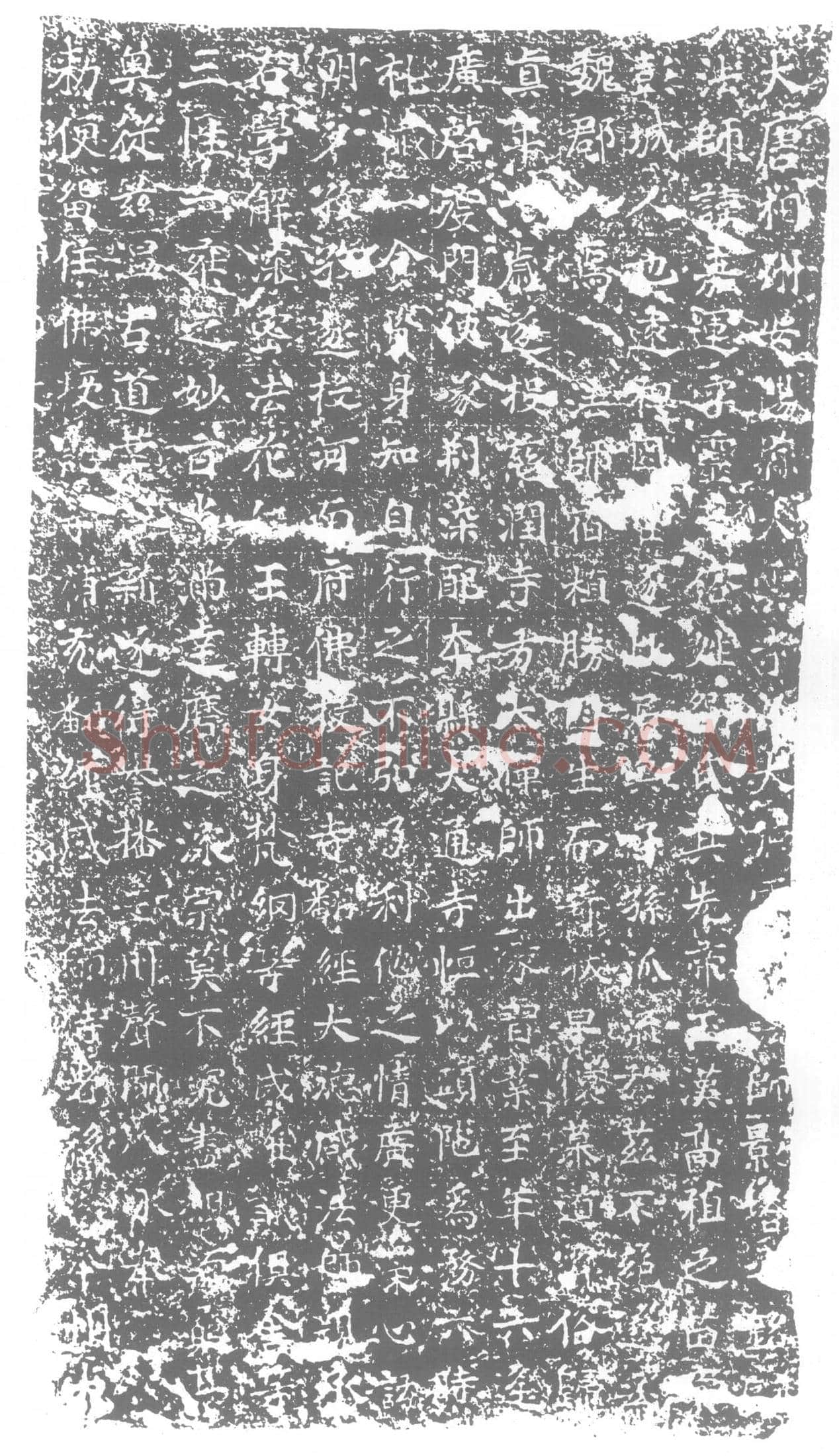 唐 墓誌