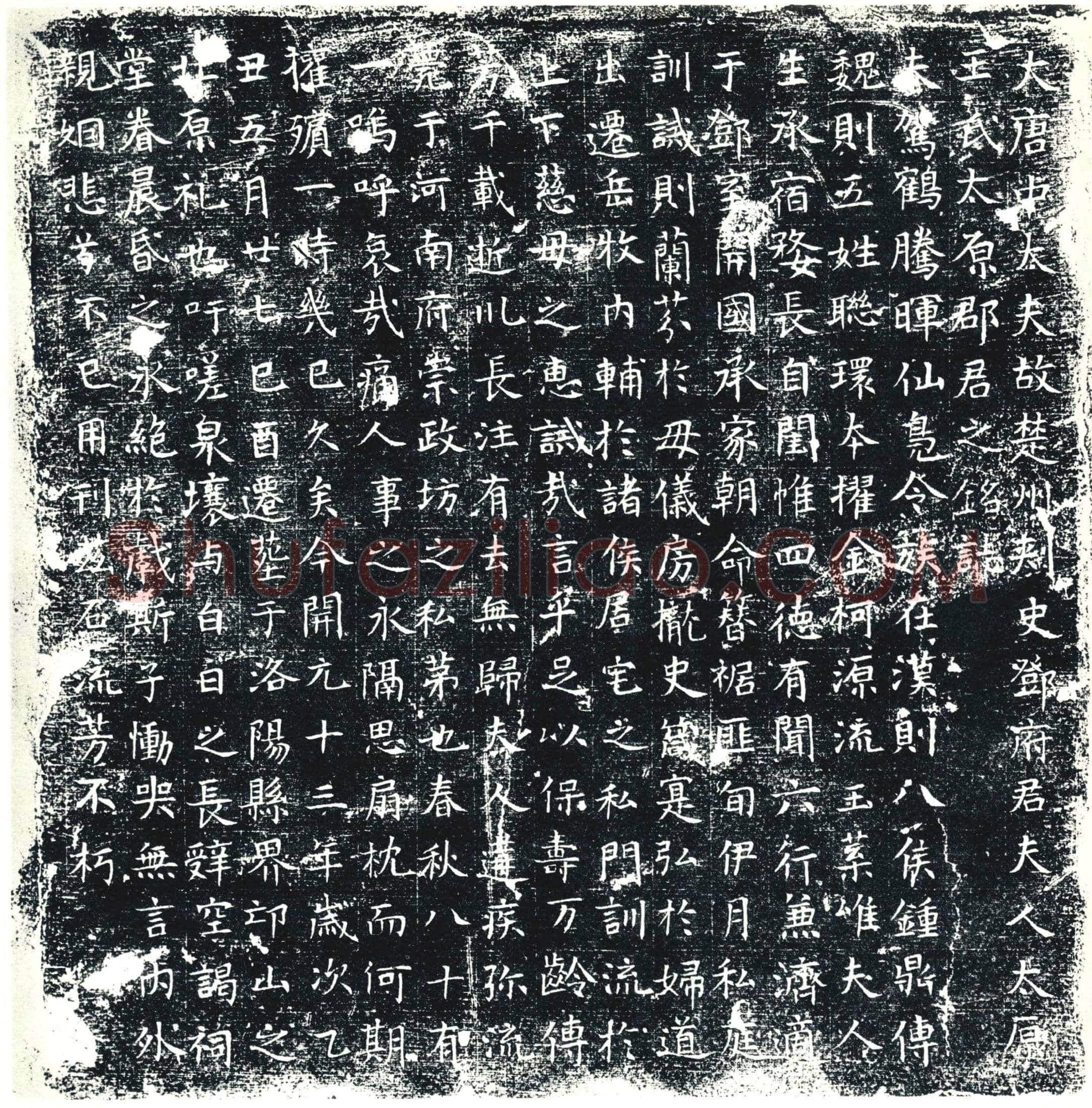 唐 王氏 墓誌