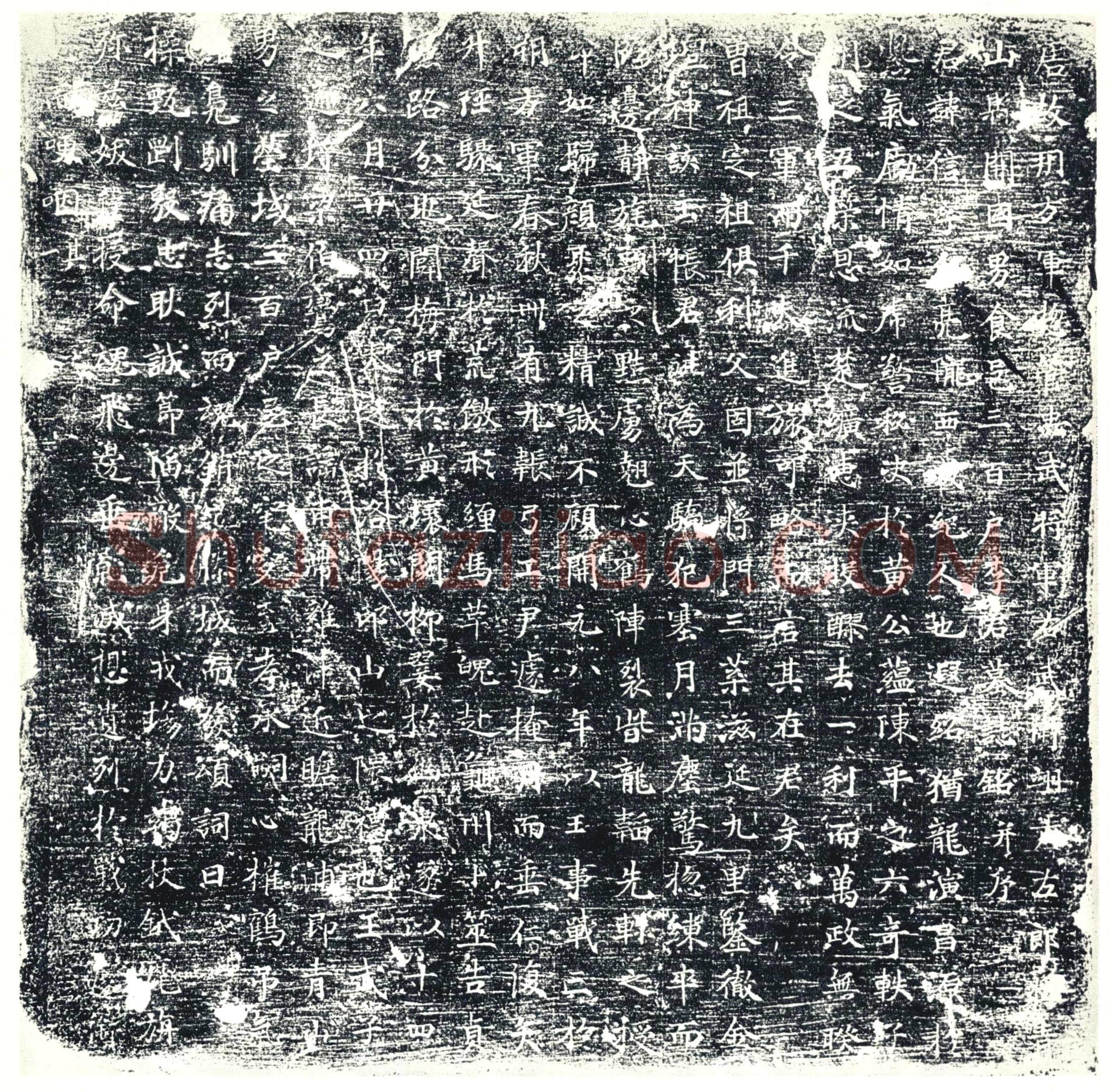 唐 李信 墓誌