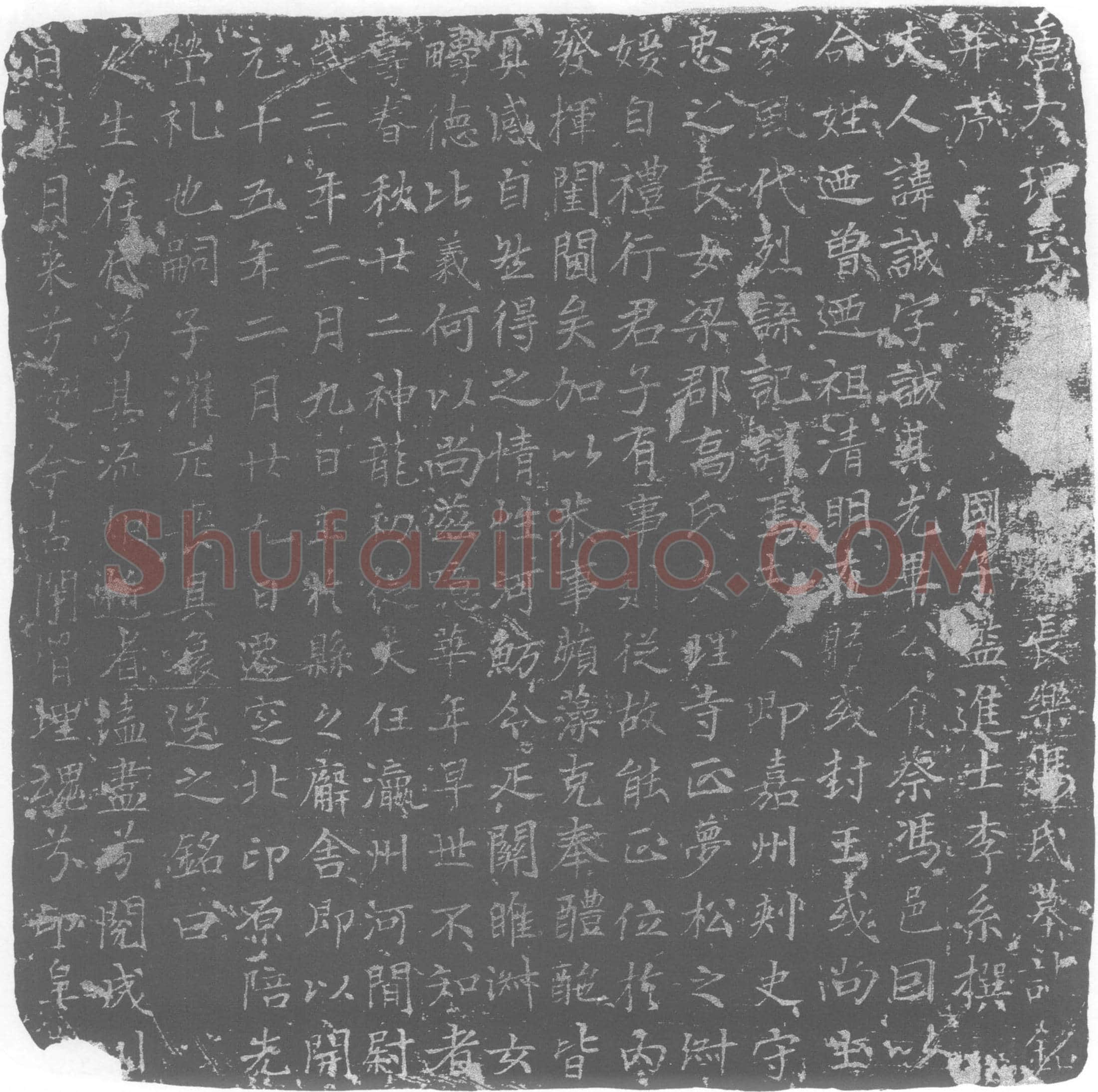 唐 冯诚 乔崇隐夫人 墓誌