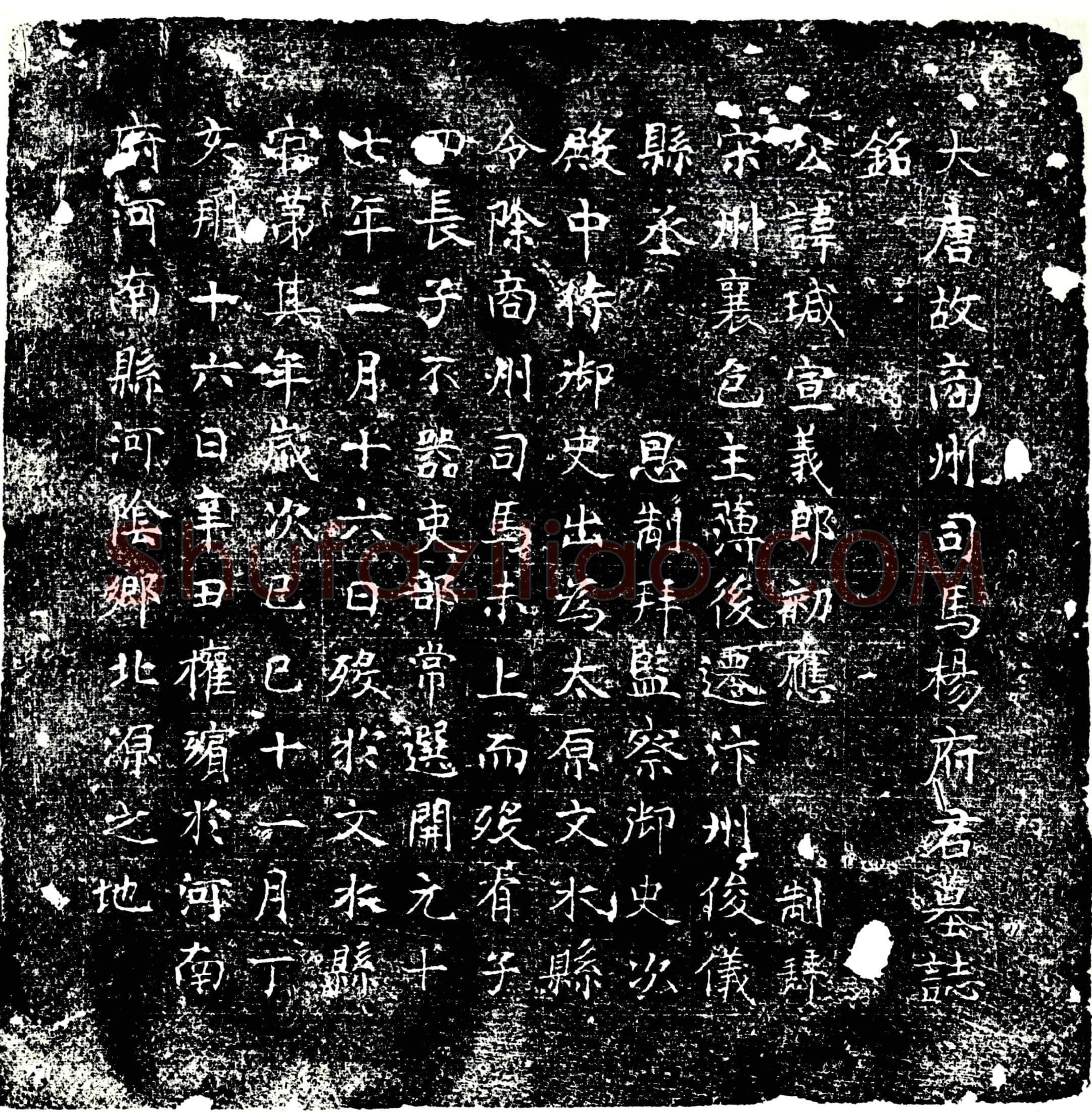 唐杨瑊墓誌