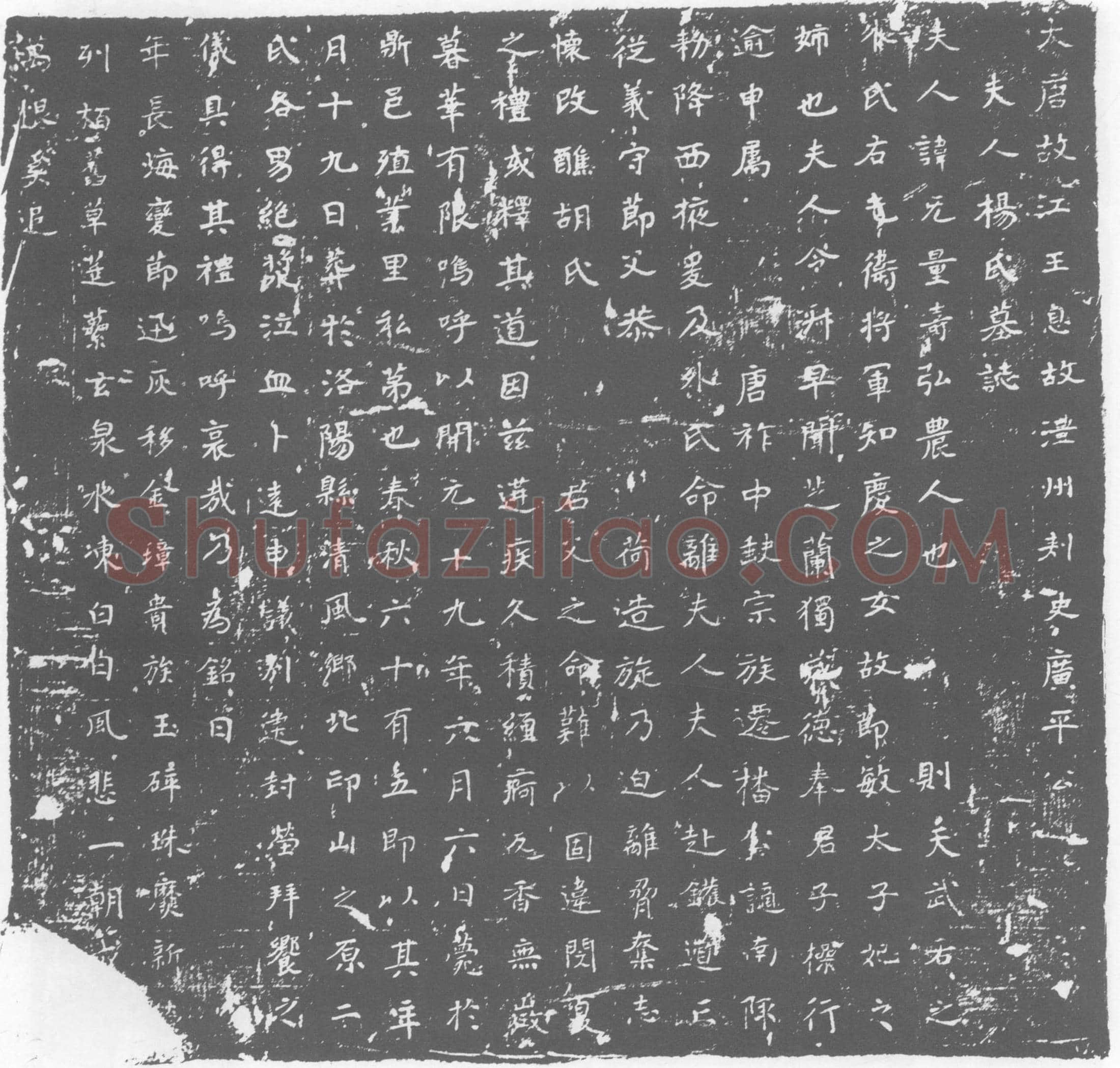 唐 杨氏 墓誌