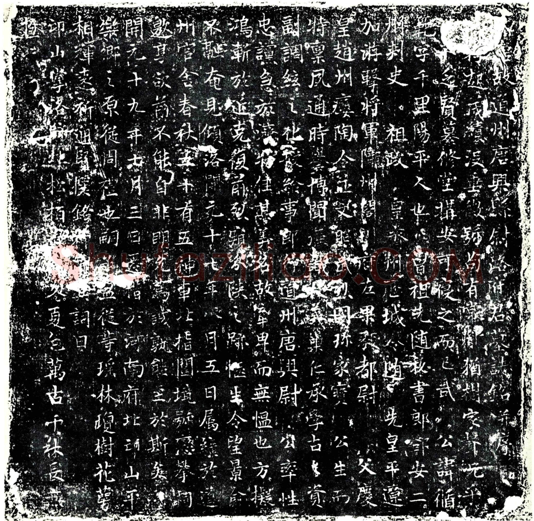 唐 路循 墓誌