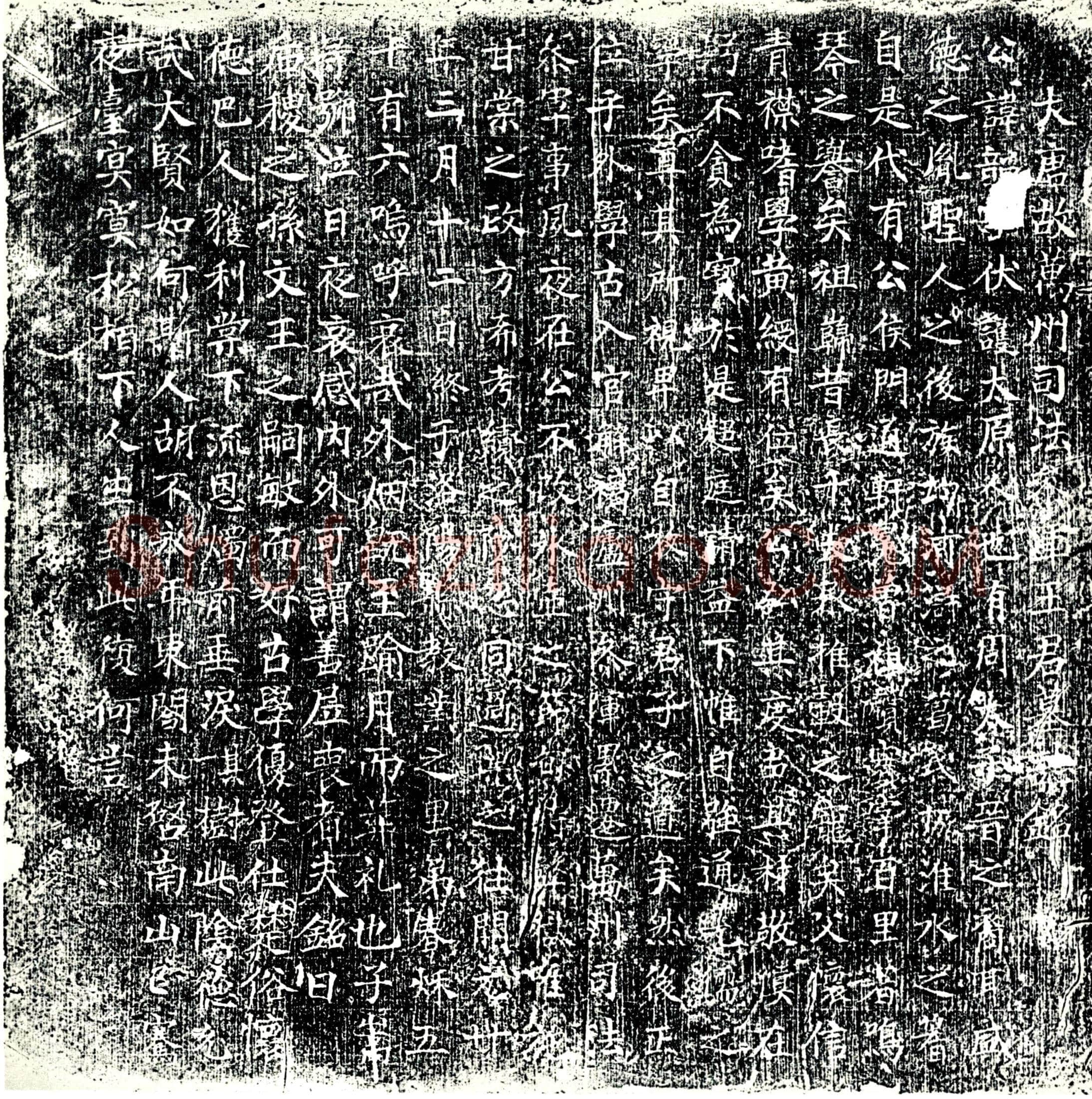 唐 王韶 墓誌