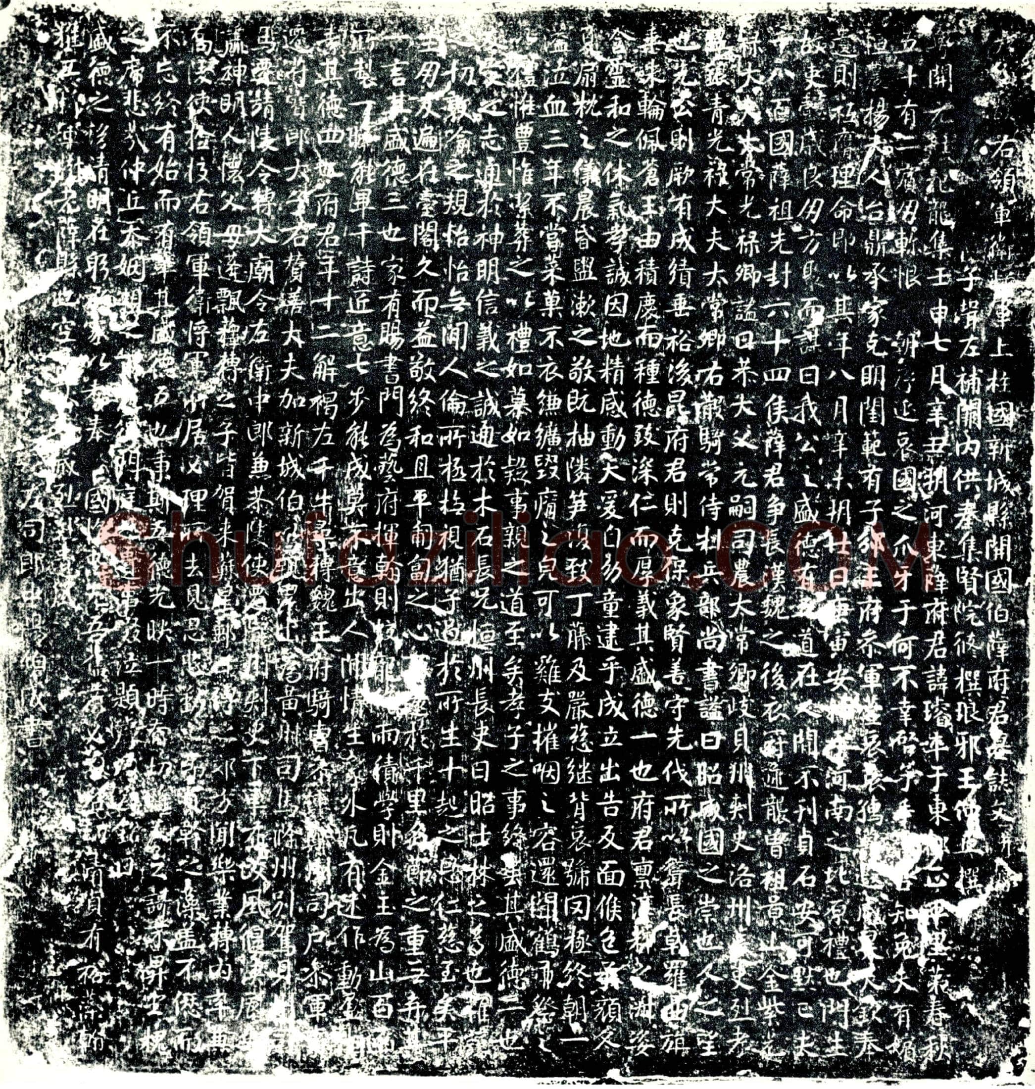 唐 薛璿 墓誌