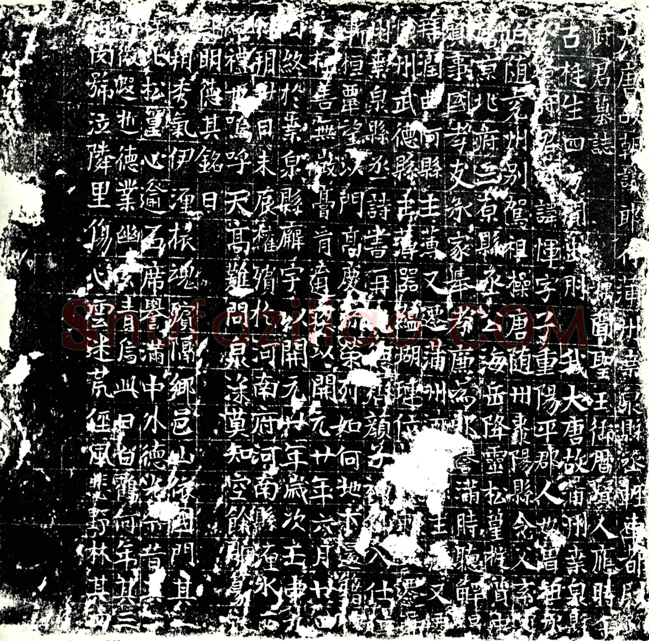 唐路恽墓誌