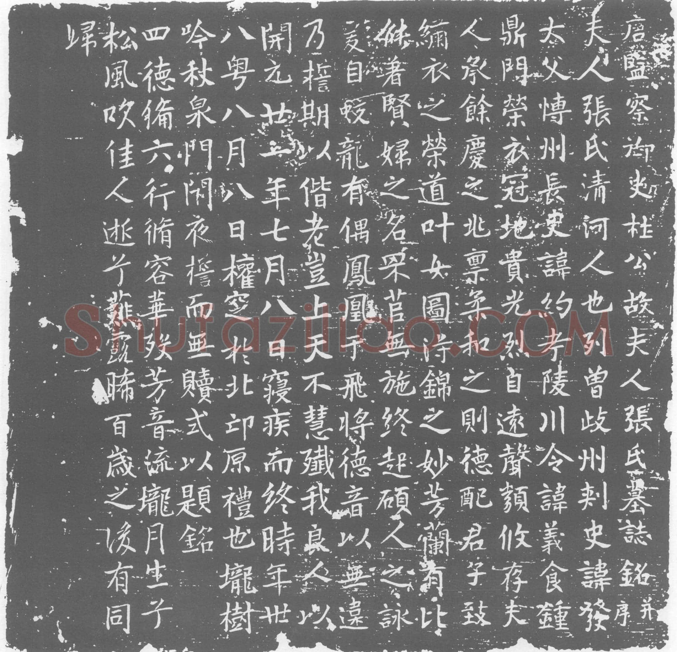 唐 张氏 墓誌