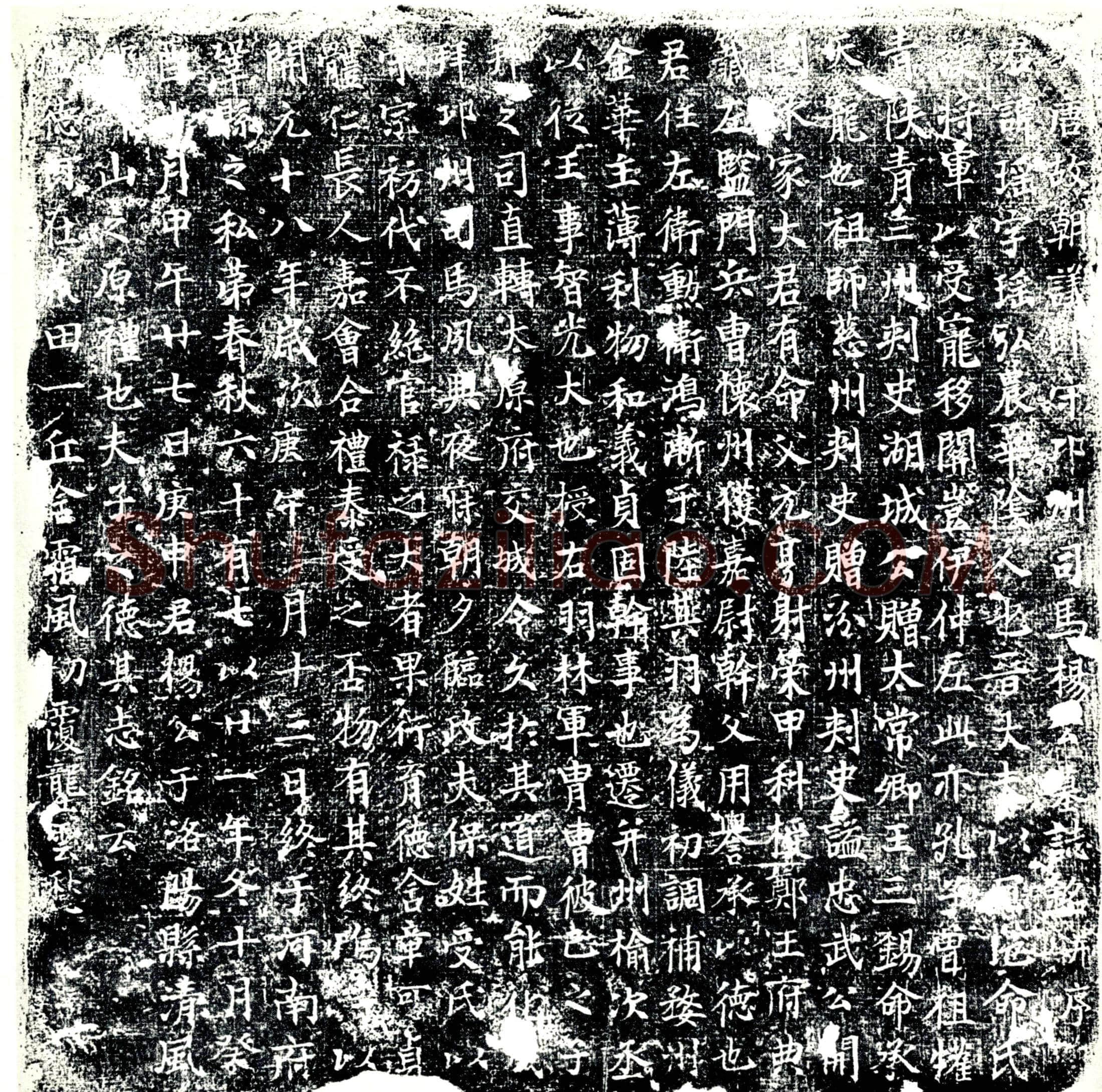 唐杨瑶墓誌