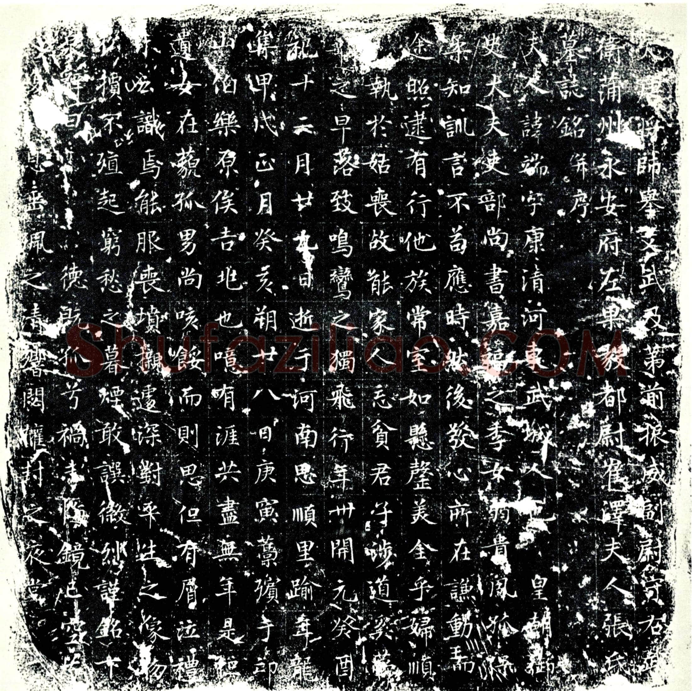 唐张端，崔泽夫人墓誌