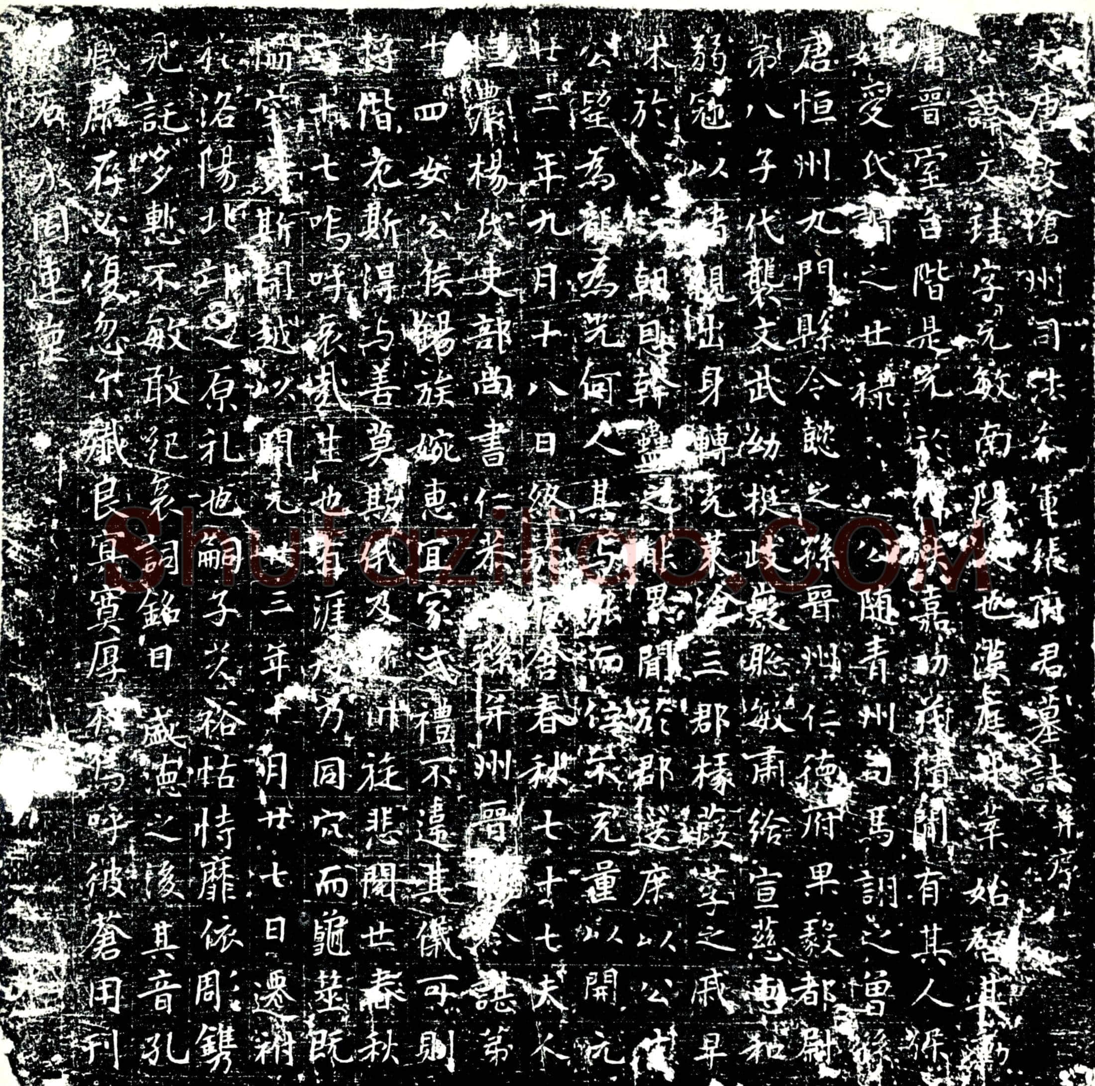 唐 张珪 墓誌