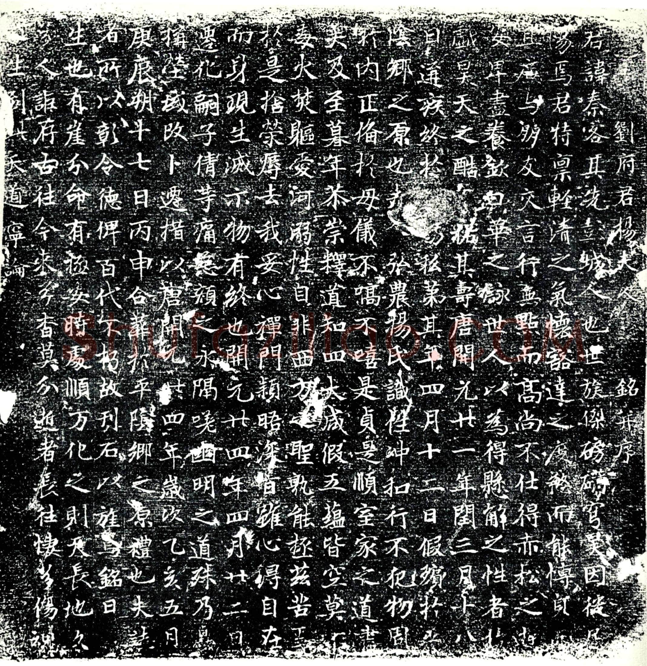 唐杨秦客墓誌