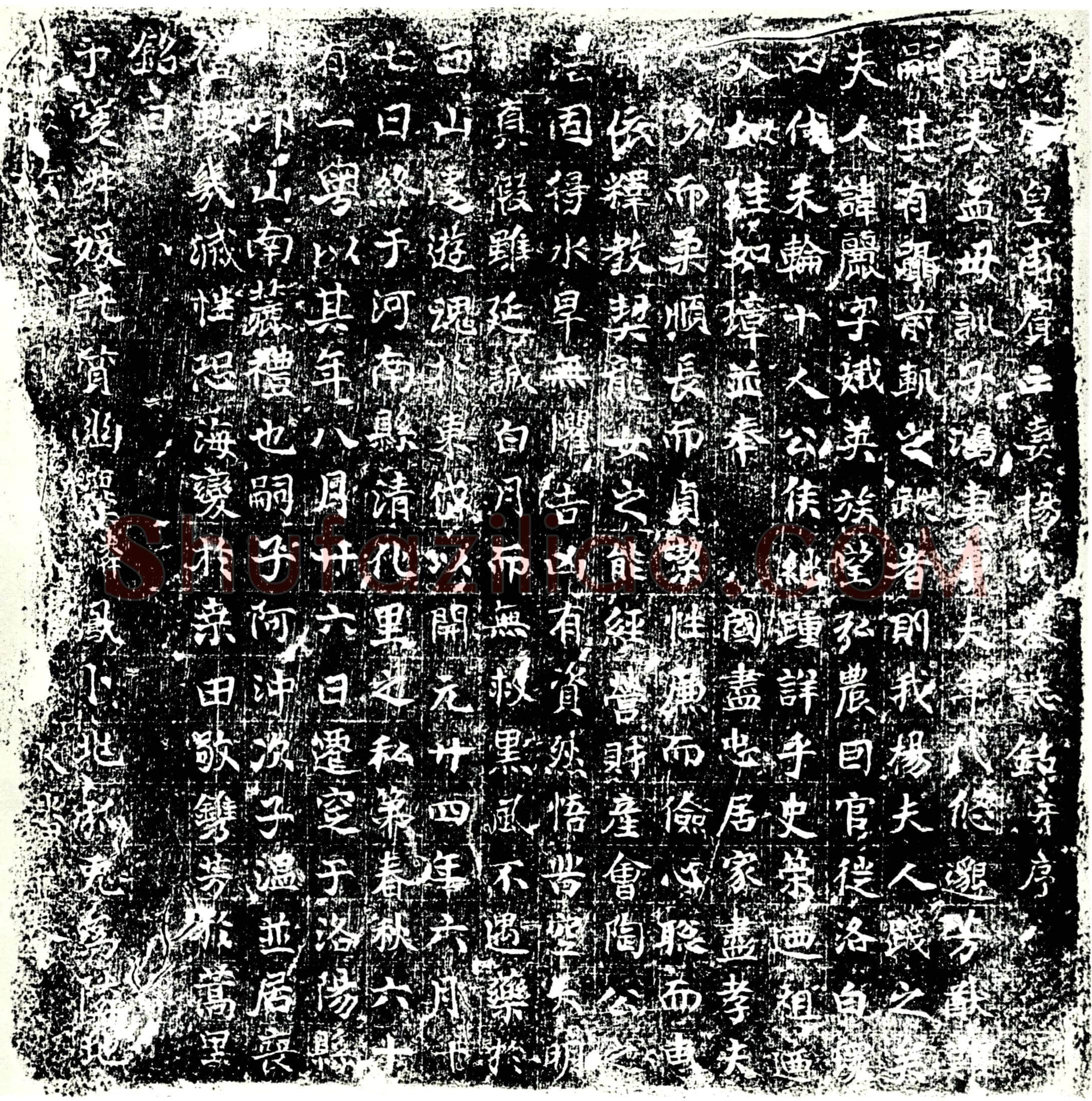 唐 杨丽 墓誌
