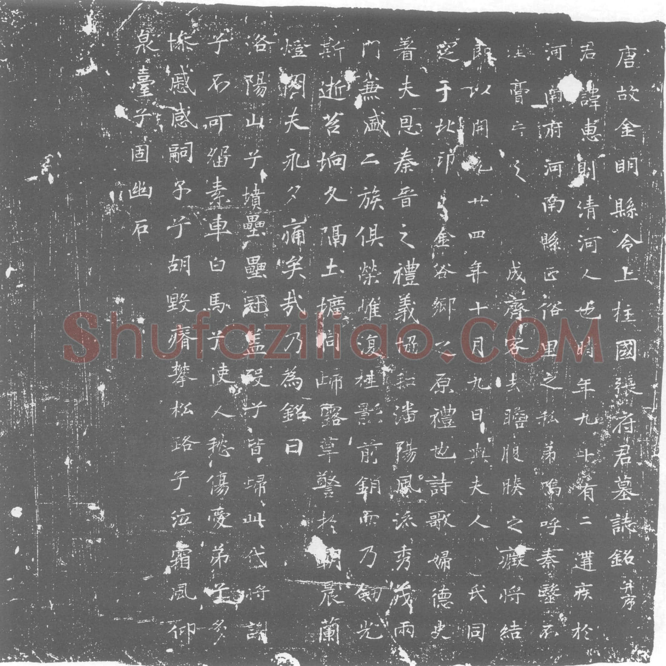 唐 张惠则 墓誌