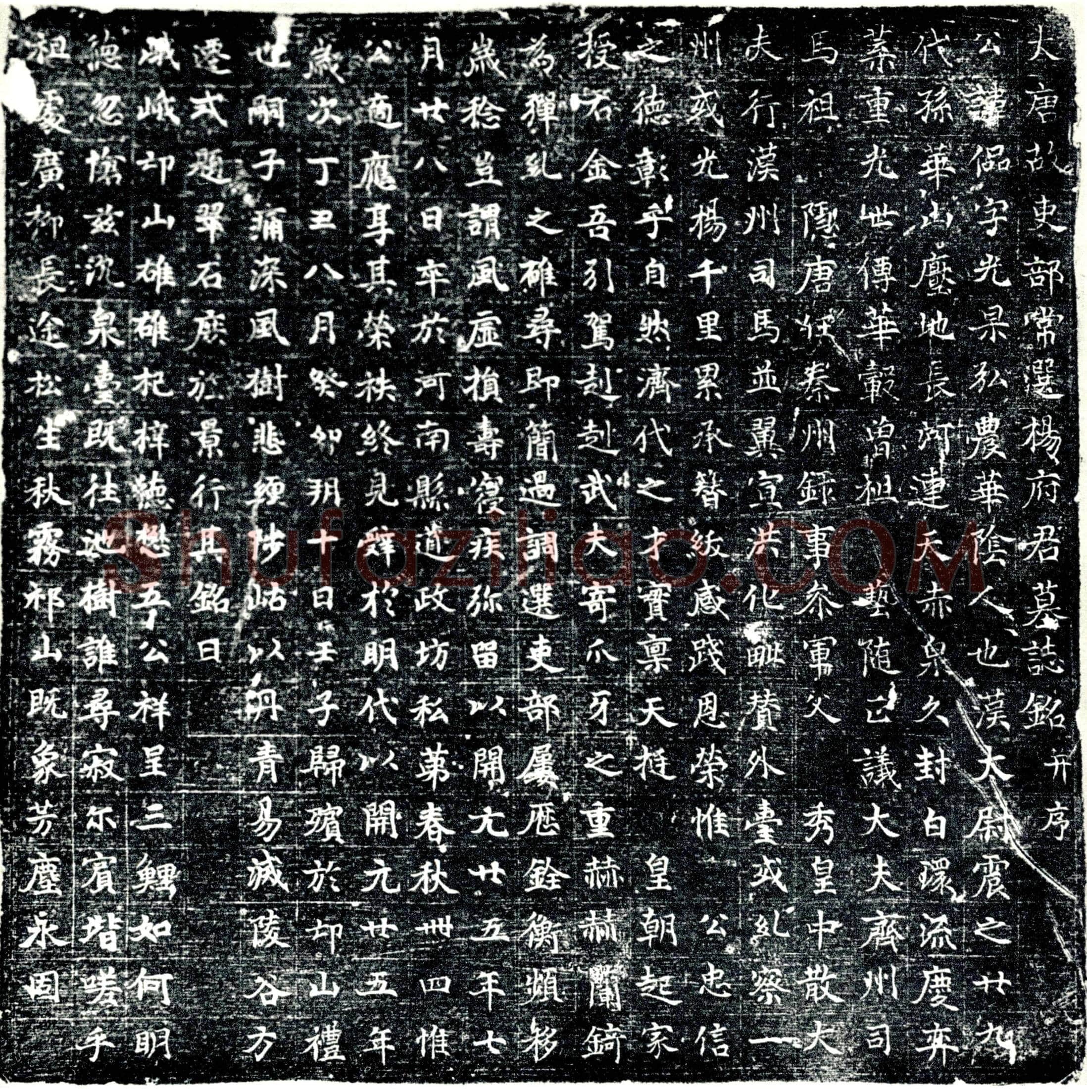 唐 杨偘 墓誌