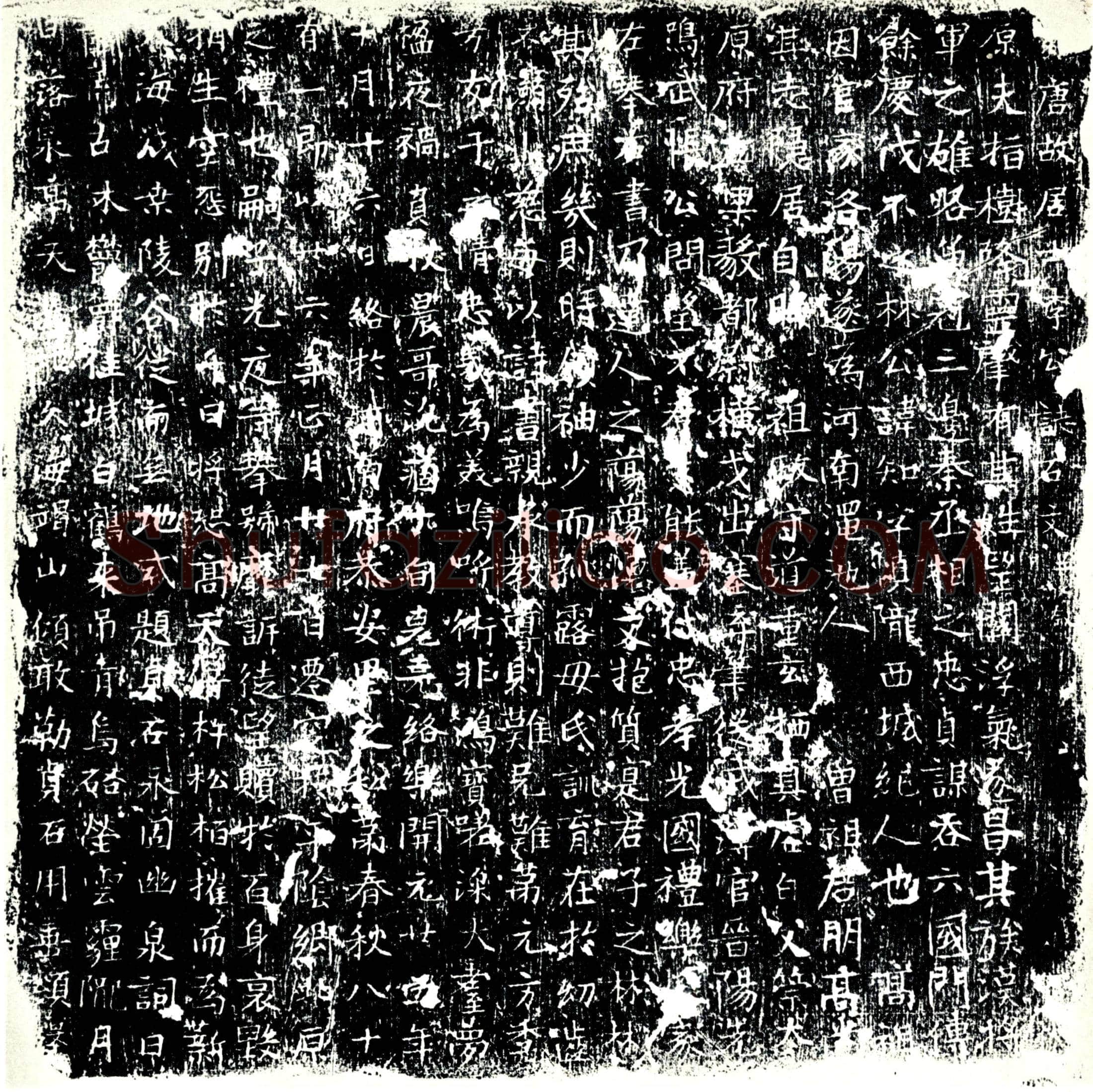 唐 李知 墓誌