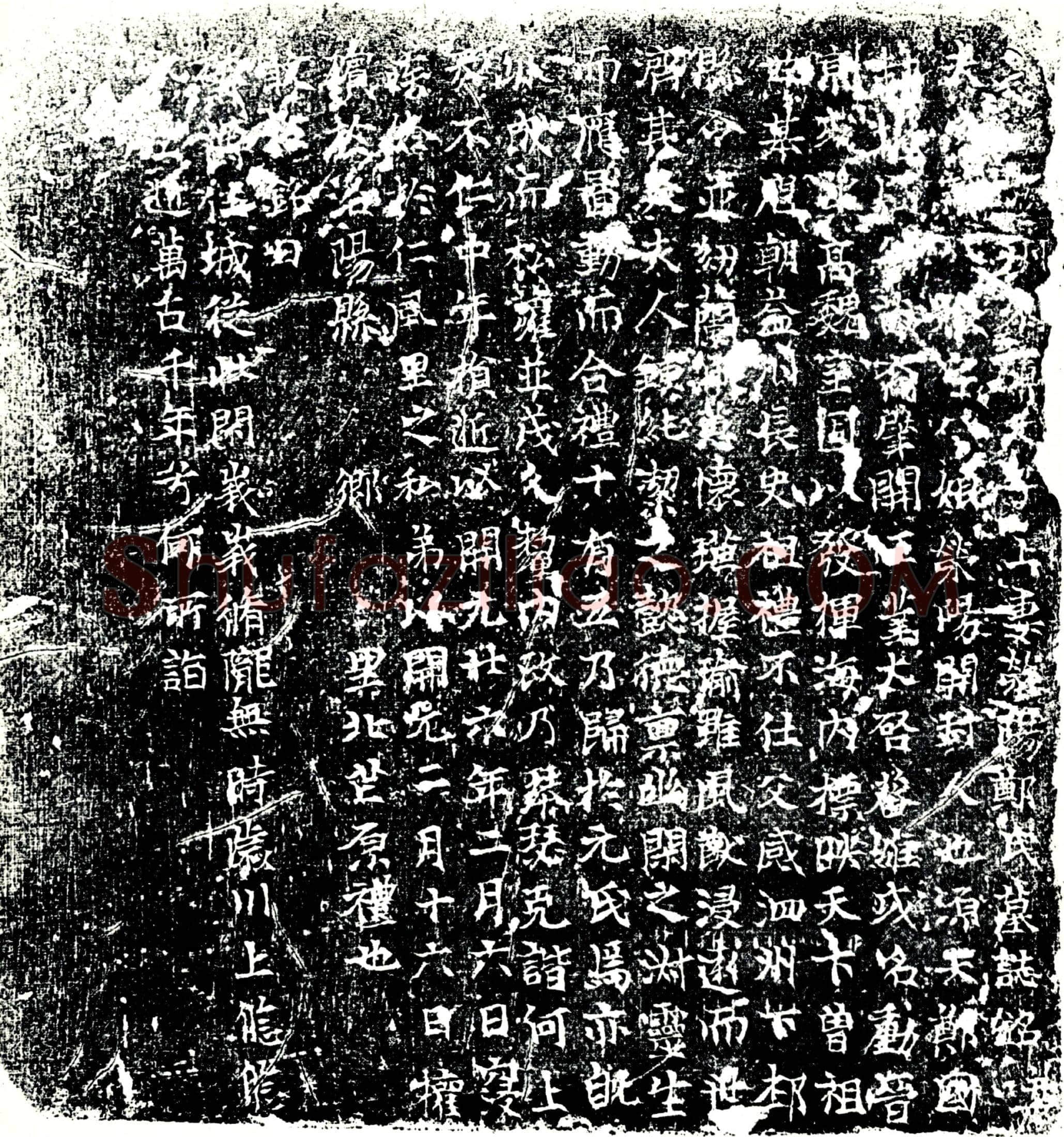唐 郑八娘 墓誌