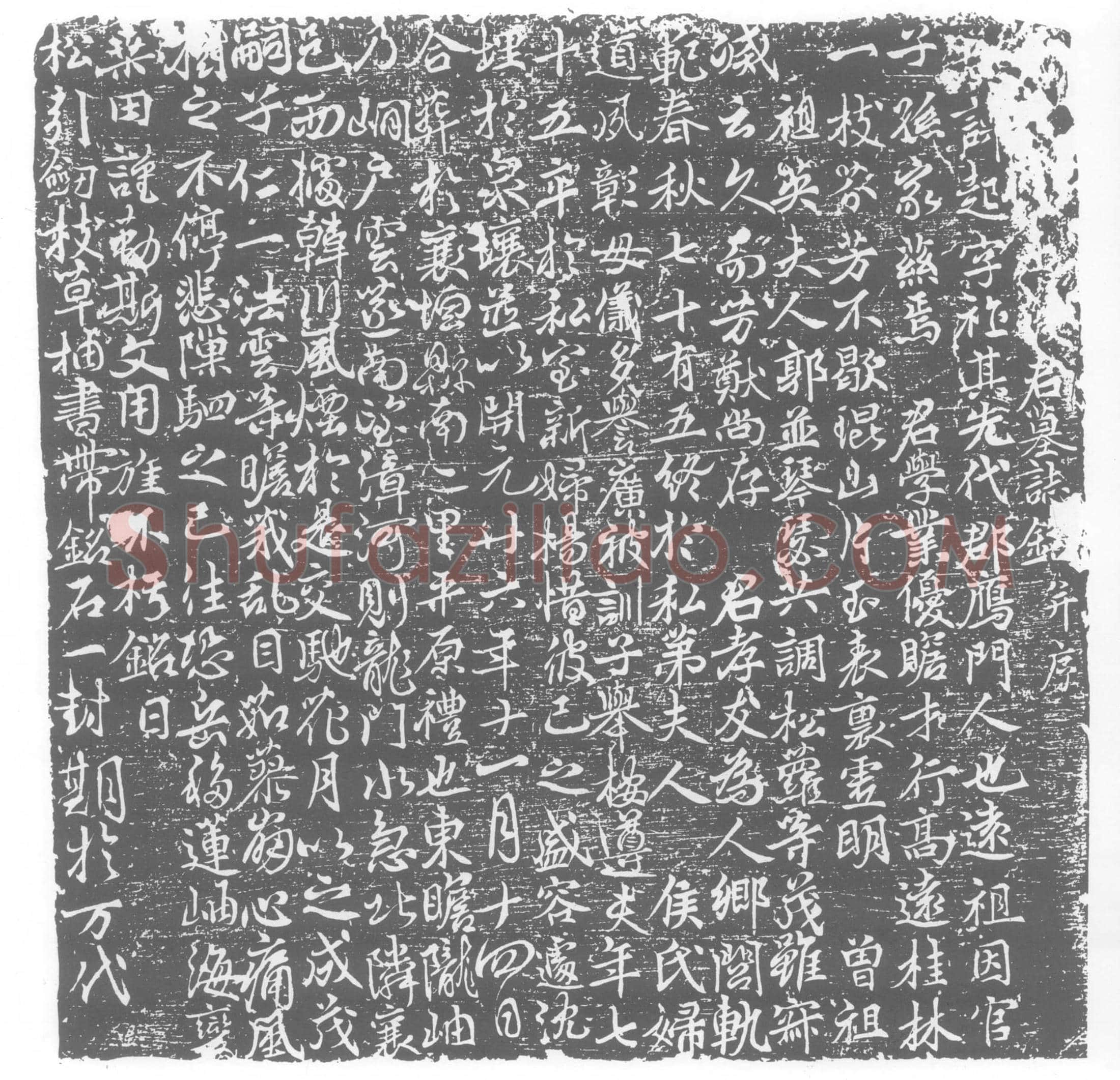 唐张起墓誌