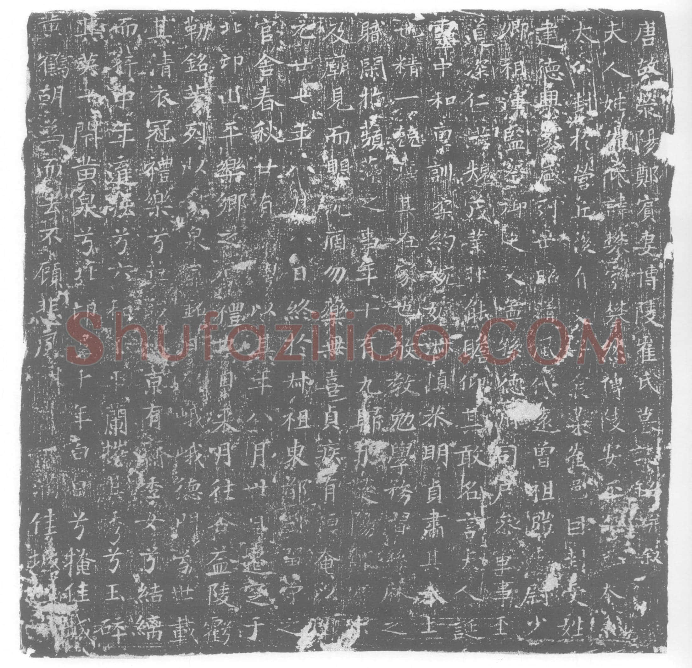 唐崔攀，郑宾妻墓誌