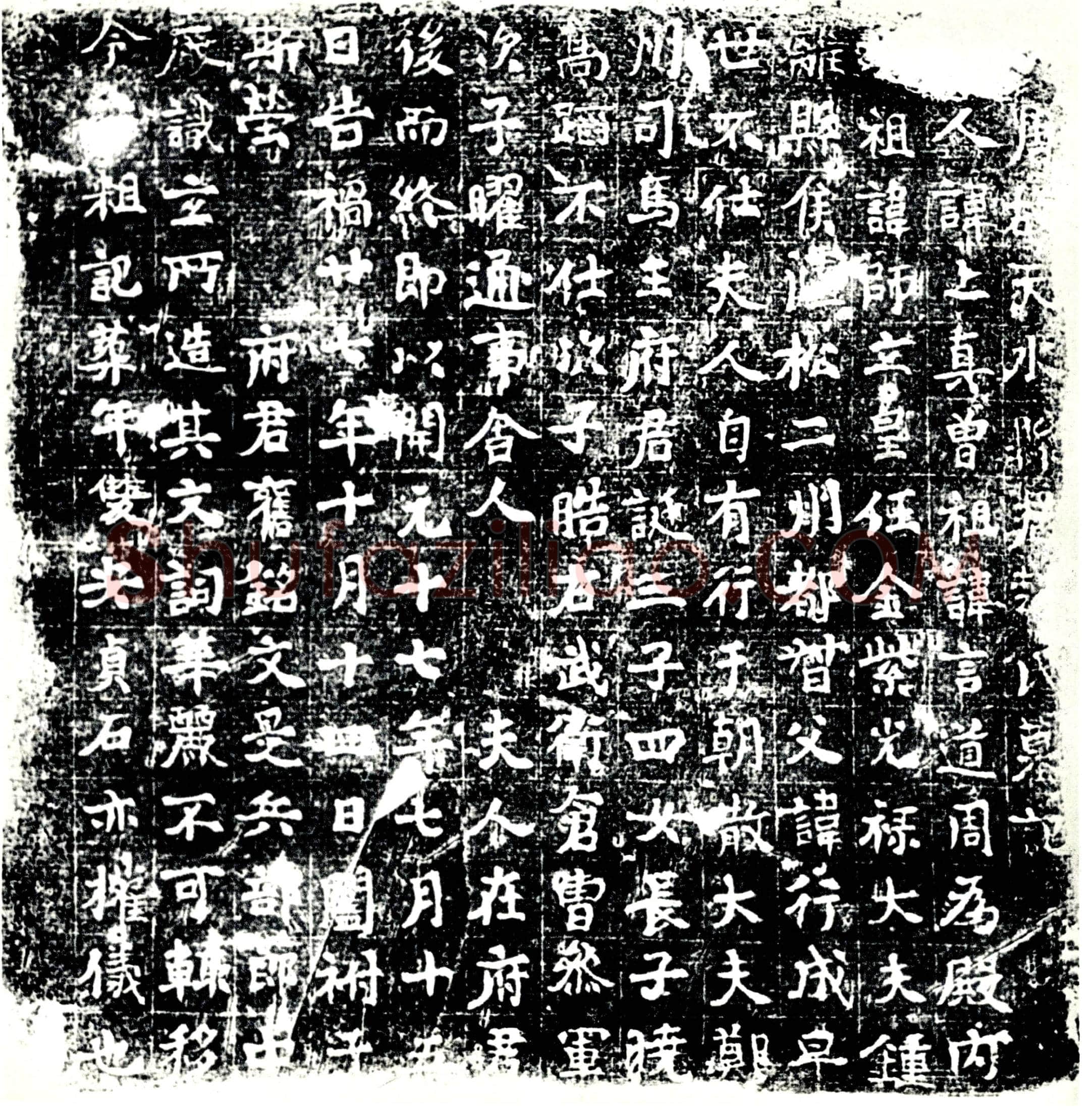 唐 赵上真 墓誌