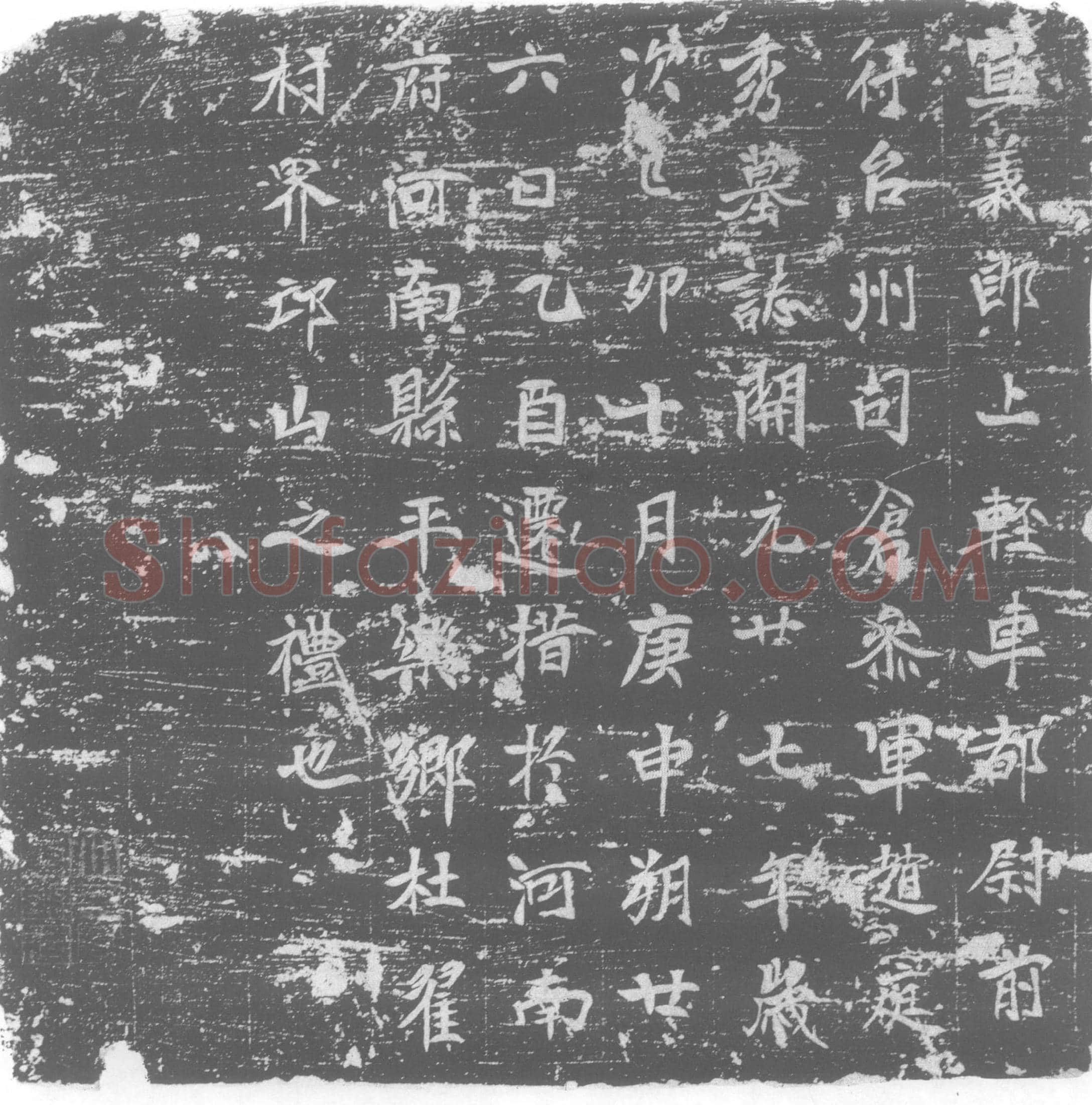 唐 赵庭秀 墓誌