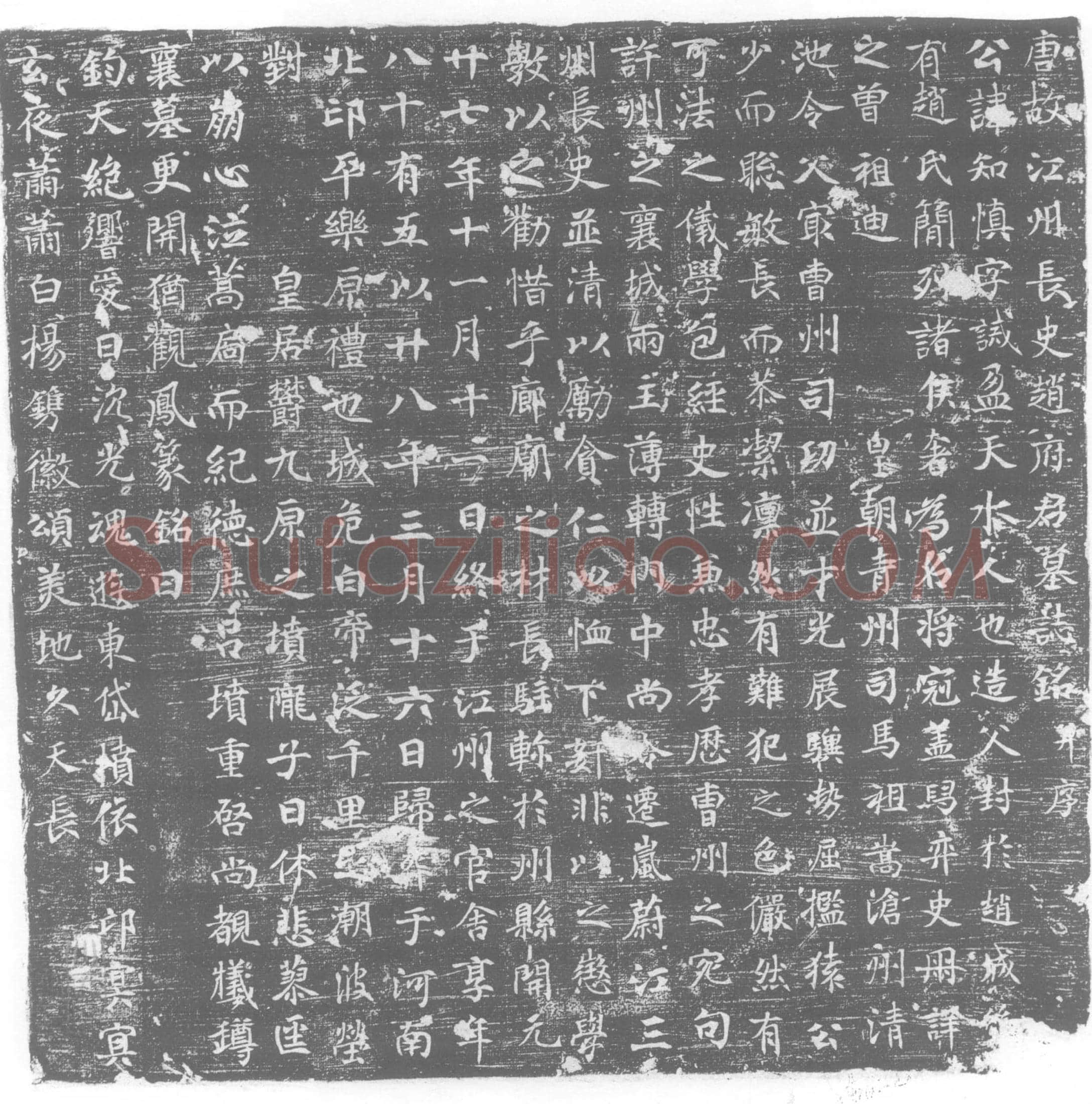 唐赵知慎墓誌