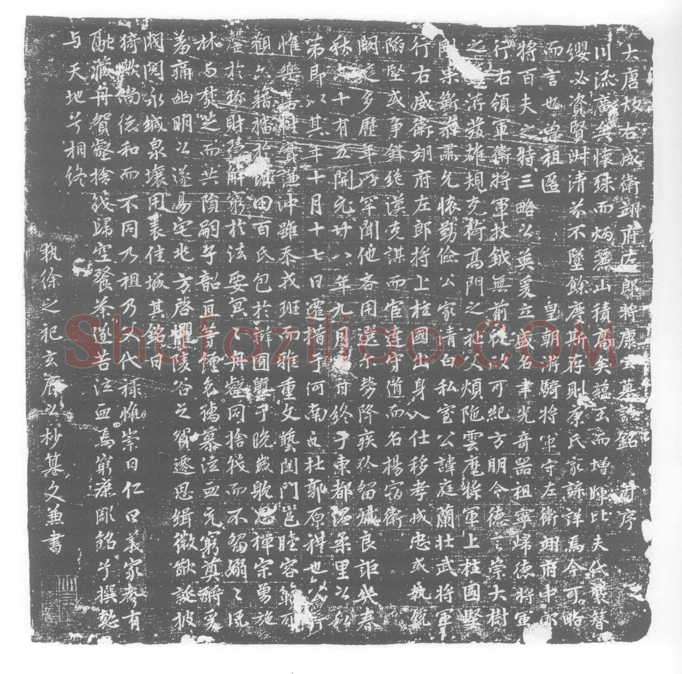 唐康庭兰墓誌