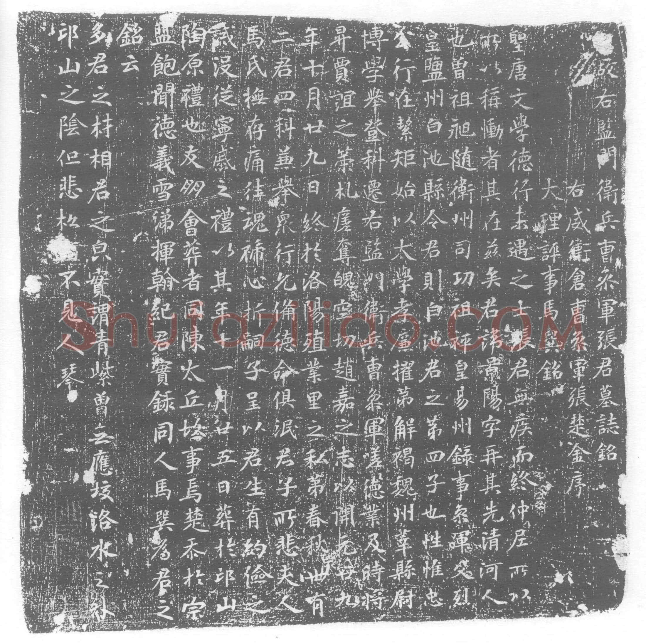 唐 张景阳 墓誌
