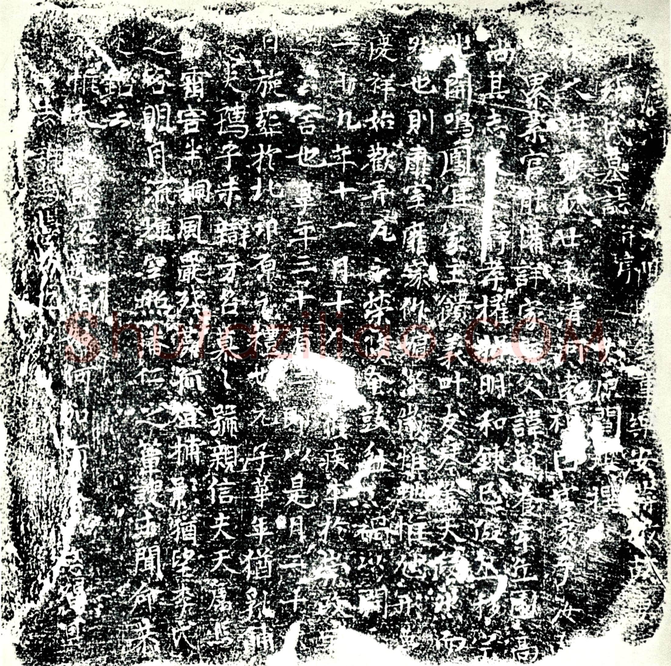 唐张氏，蒋敏妻墓誌