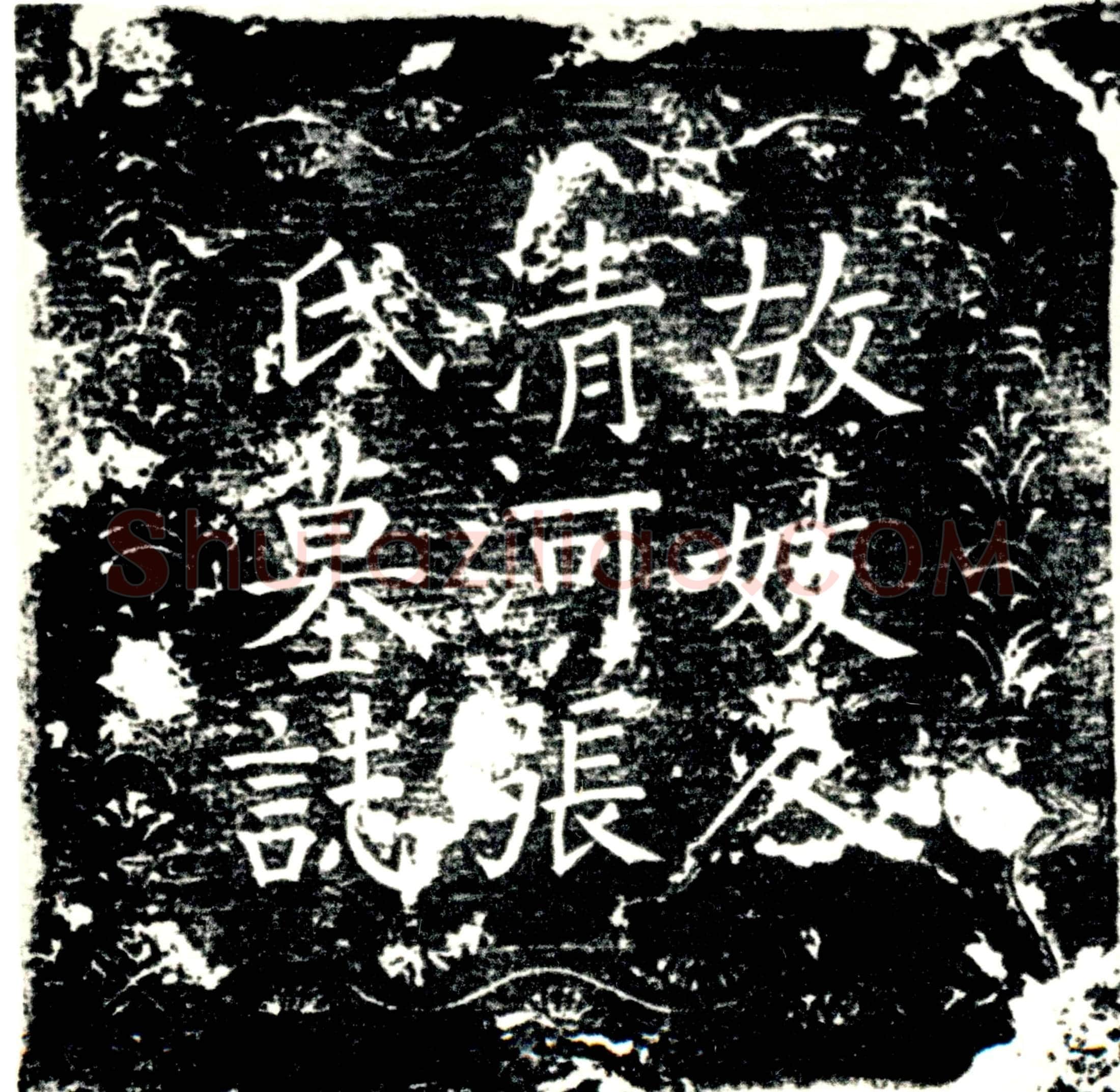 唐张氏，蒋敏妻墓誌