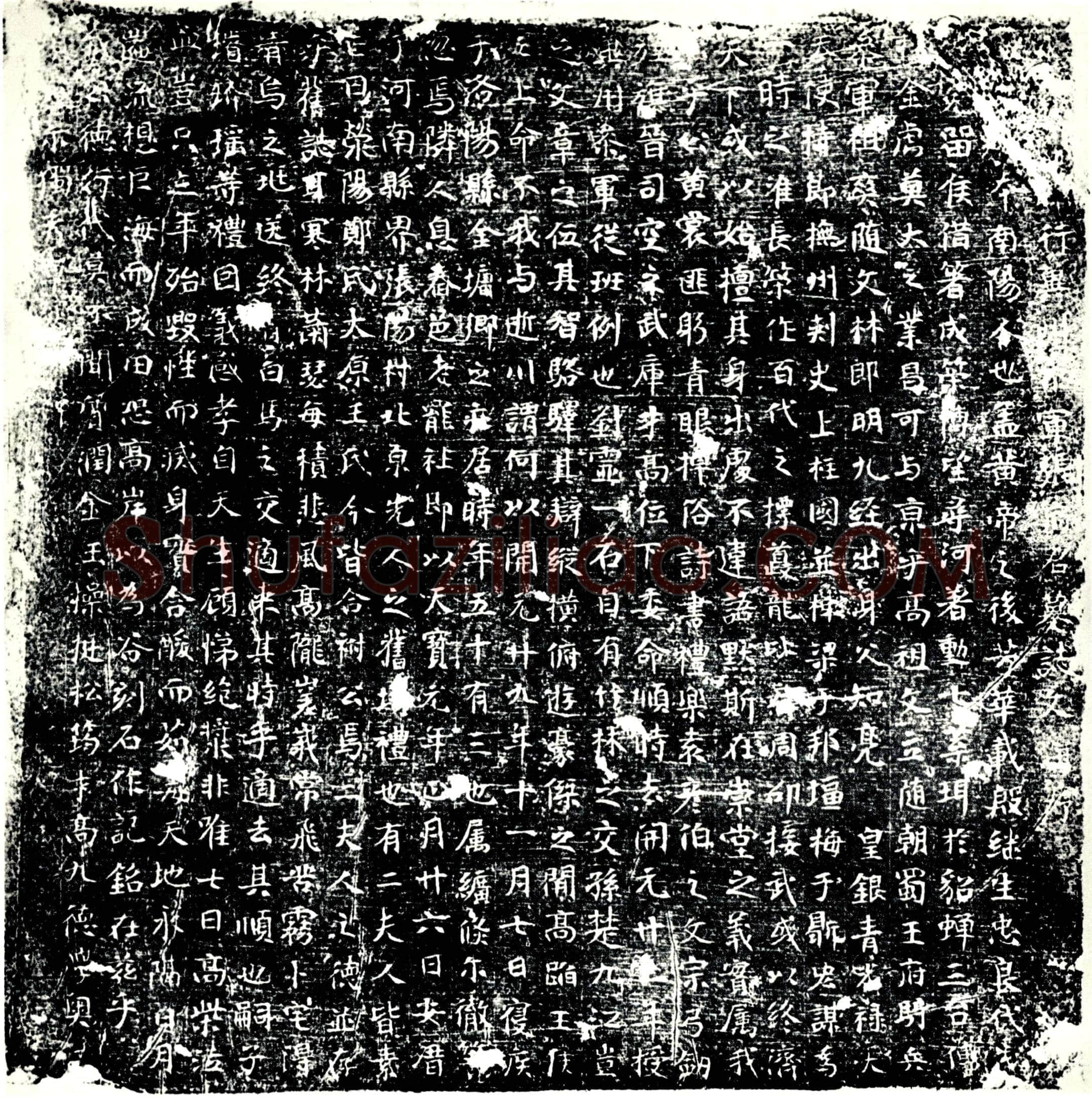 唐 张□ 墓誌