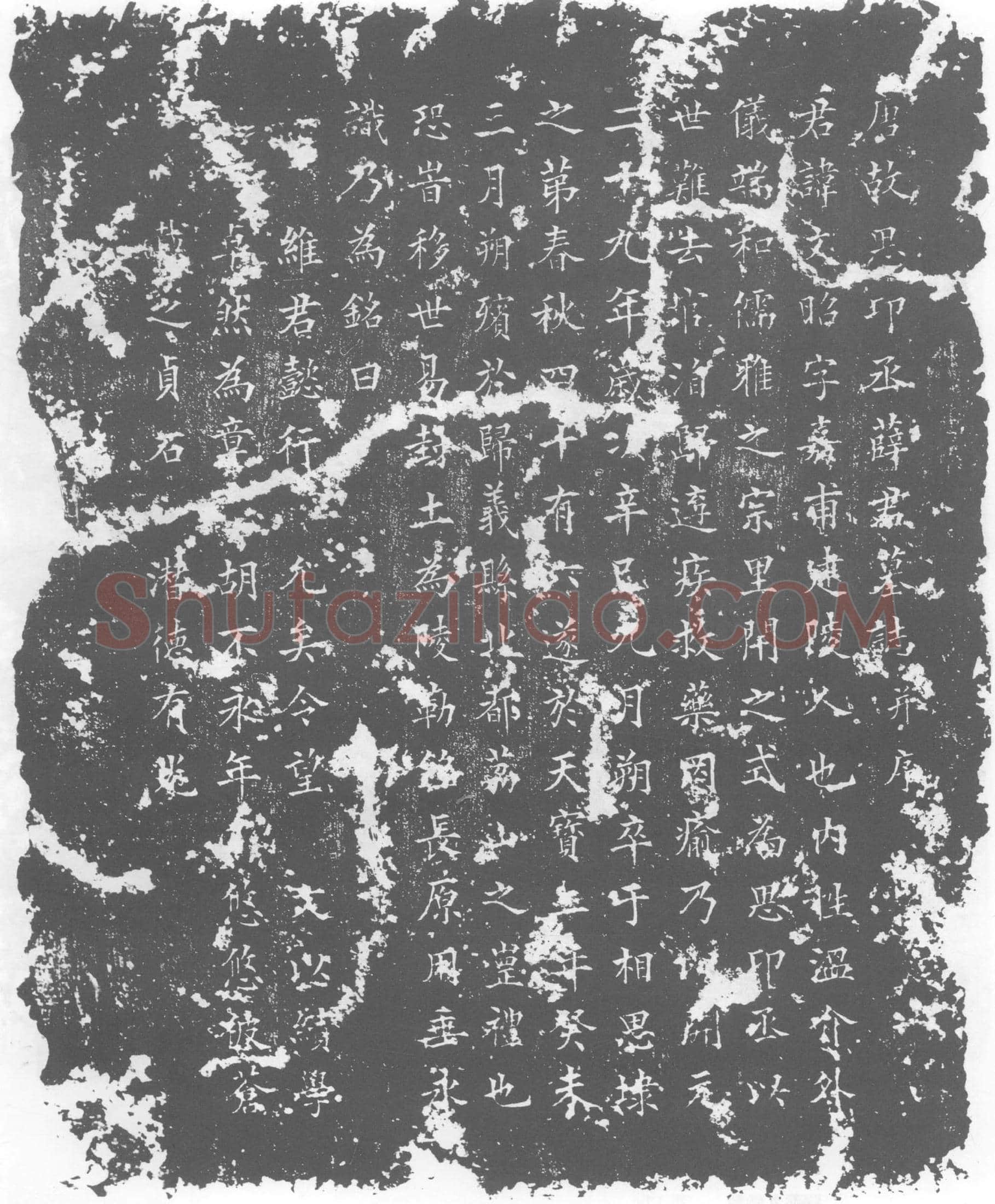 唐 薛文昭 墓誌