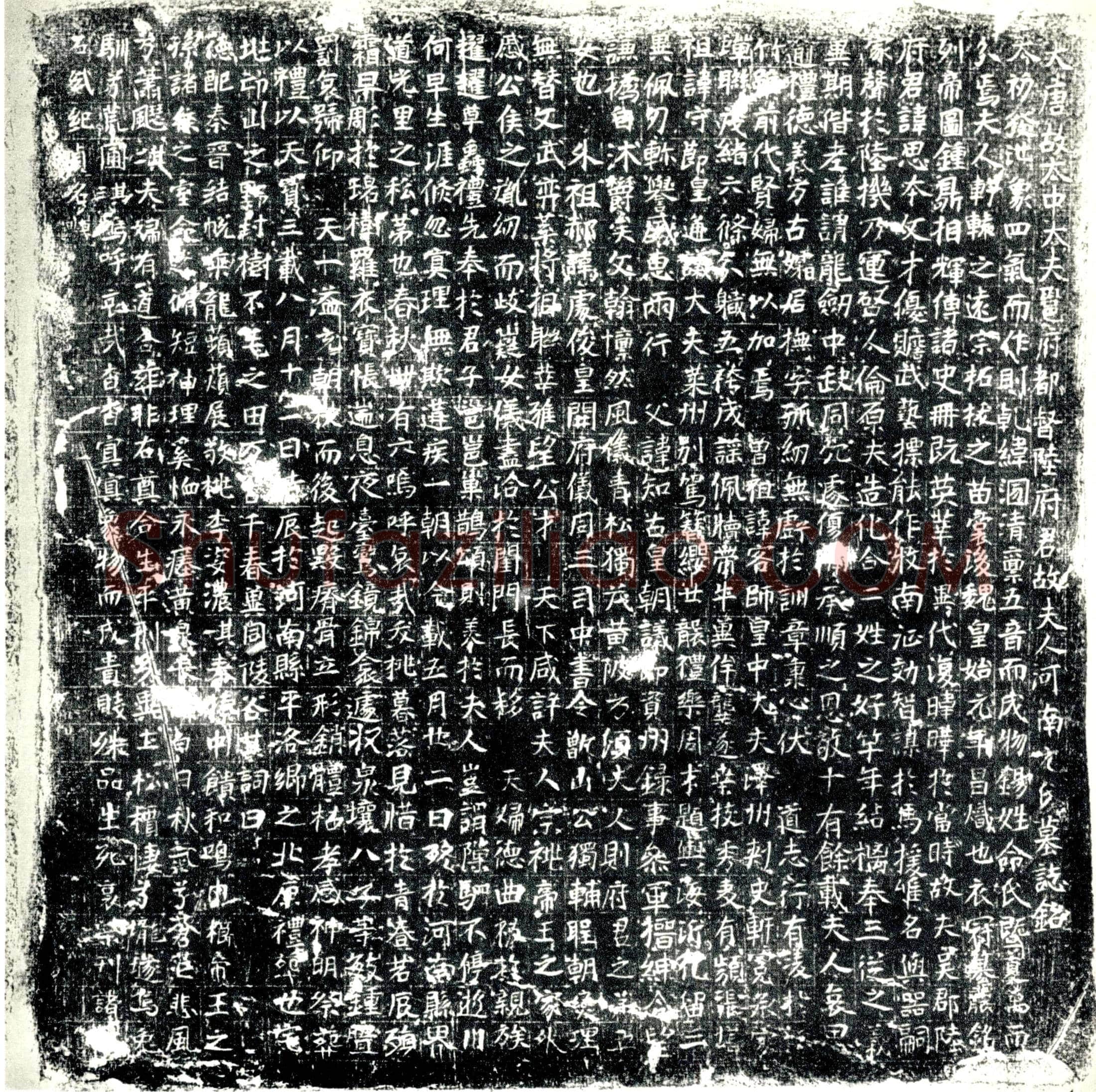唐元氏，陆思本夫人墓誌