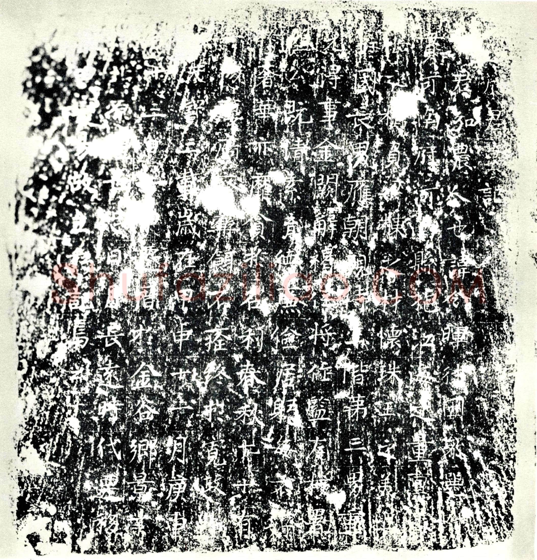唐 杨令晖 墓誌