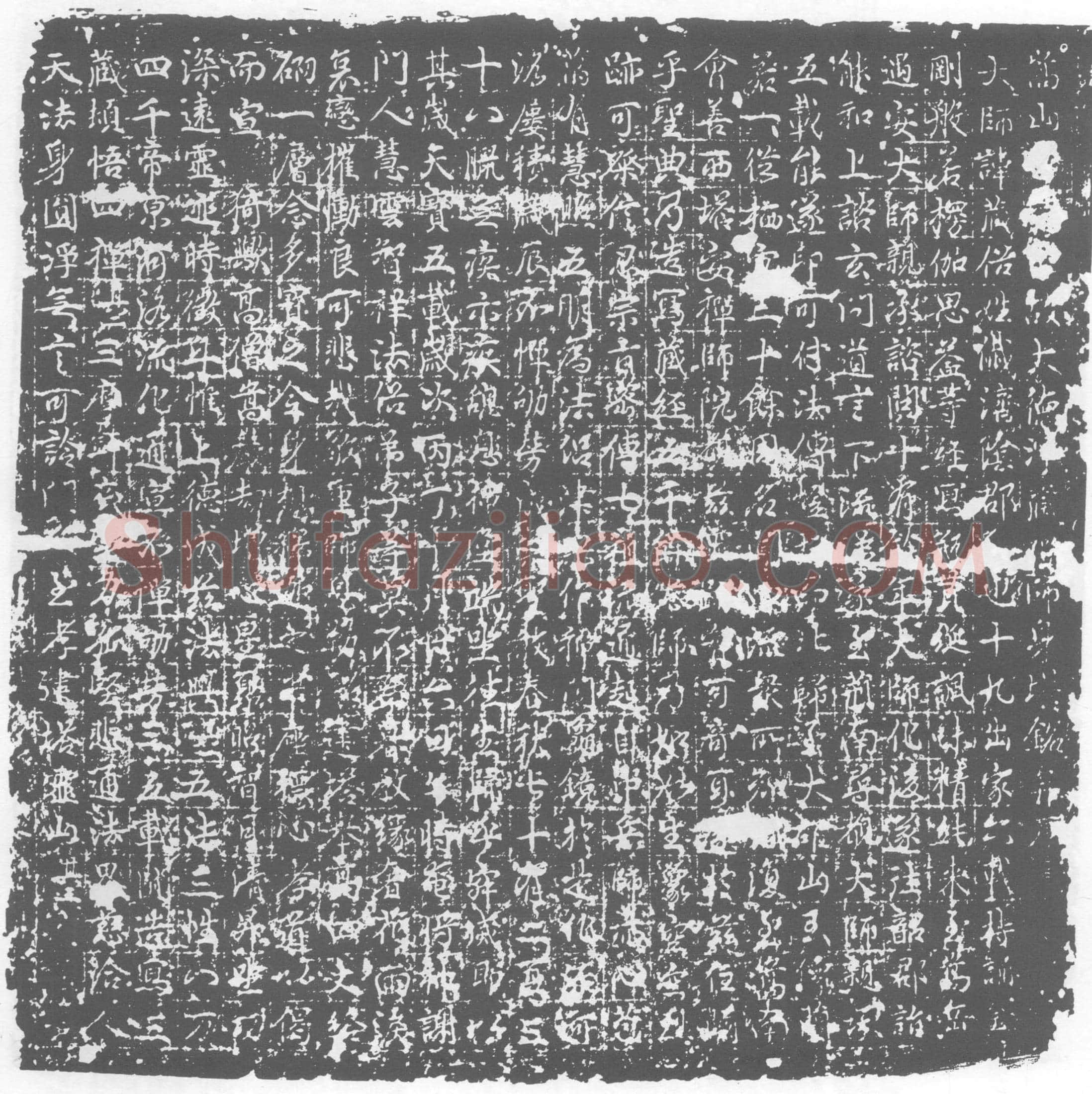 唐 净藏禅师 □藏 墓誌