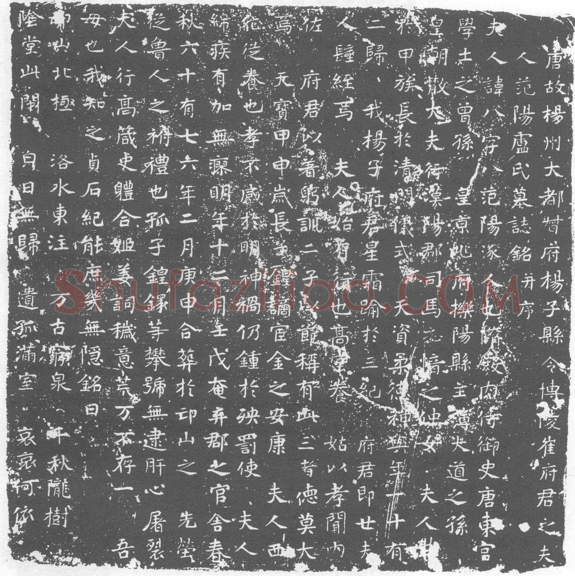 唐 卢八 墓誌
