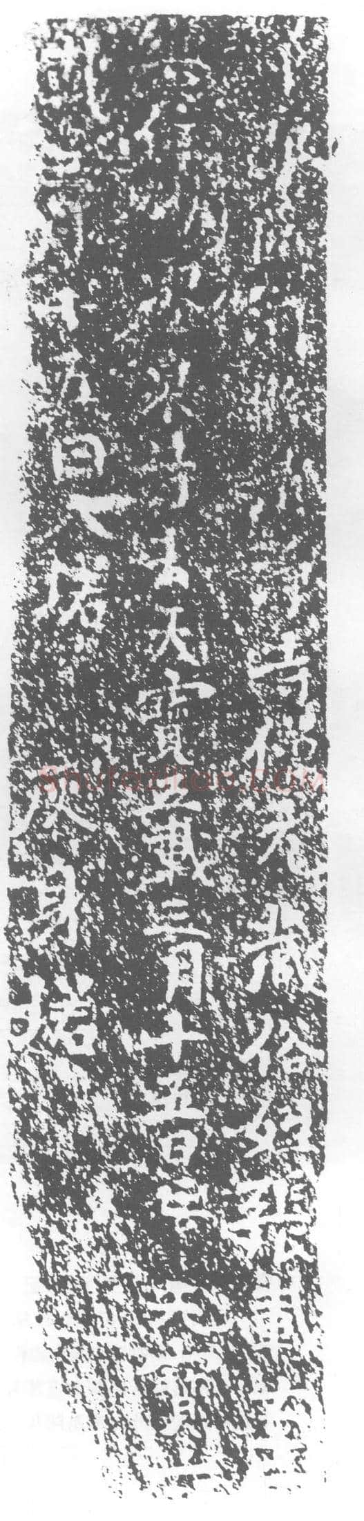 唐清净寺僧元藏，张□墓誌