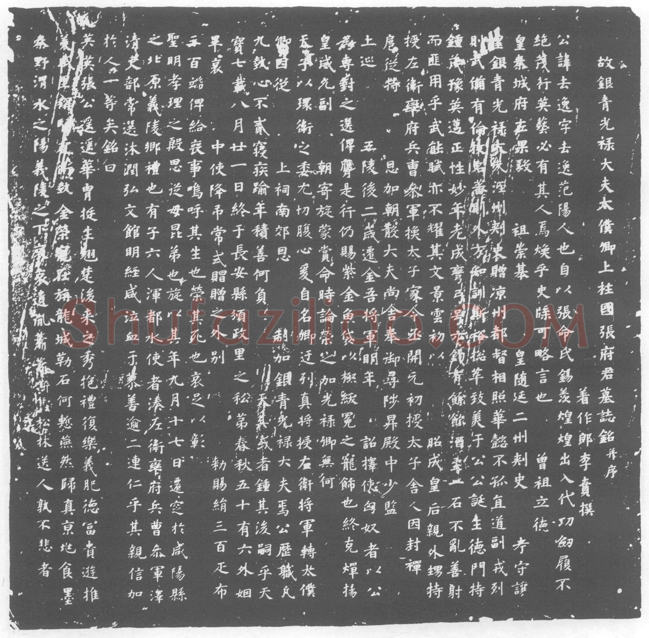 唐张去逸墓誌