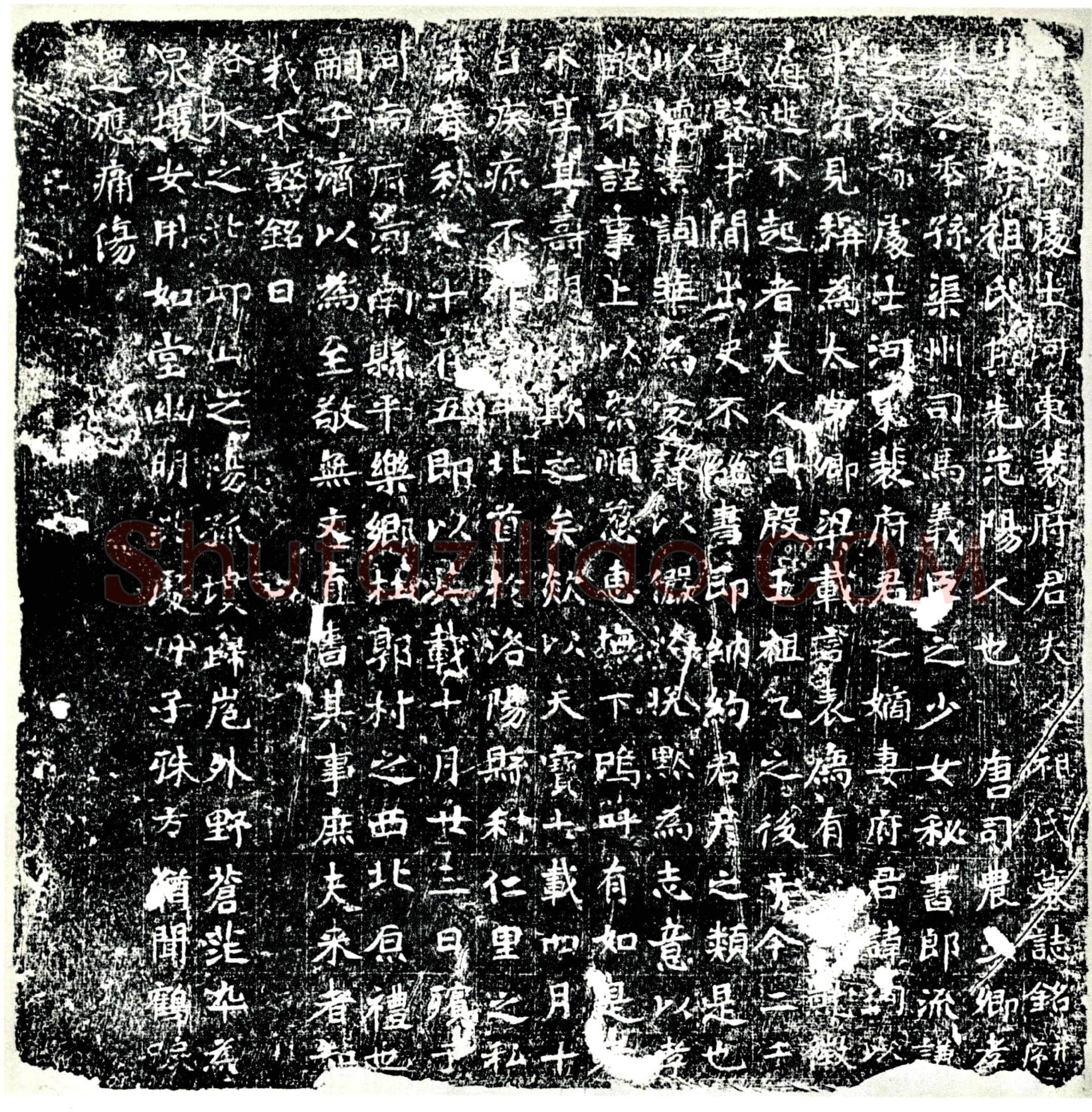 唐 祖氏 裴珣妻 墓誌