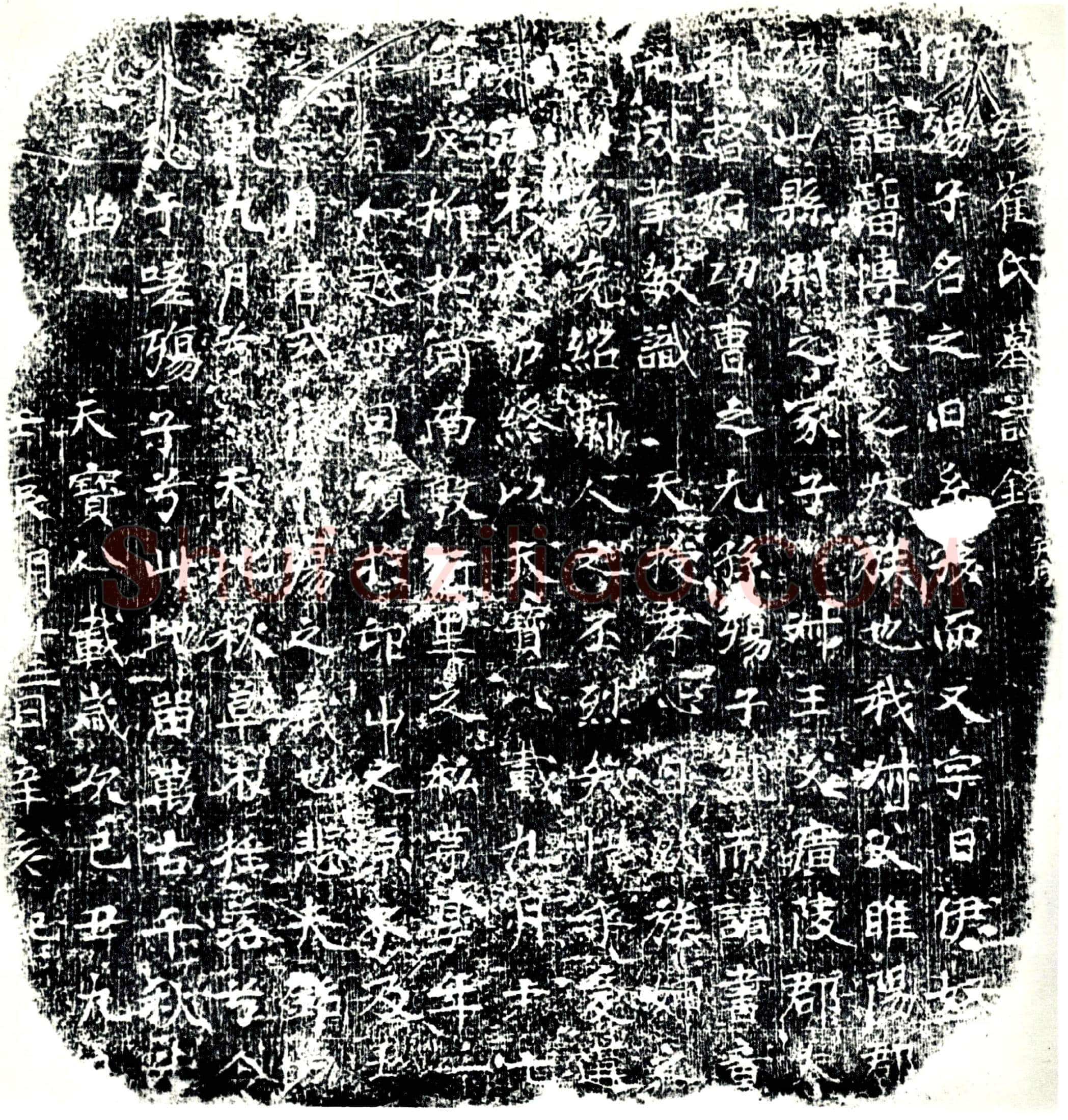 唐 崔之曰 墓誌