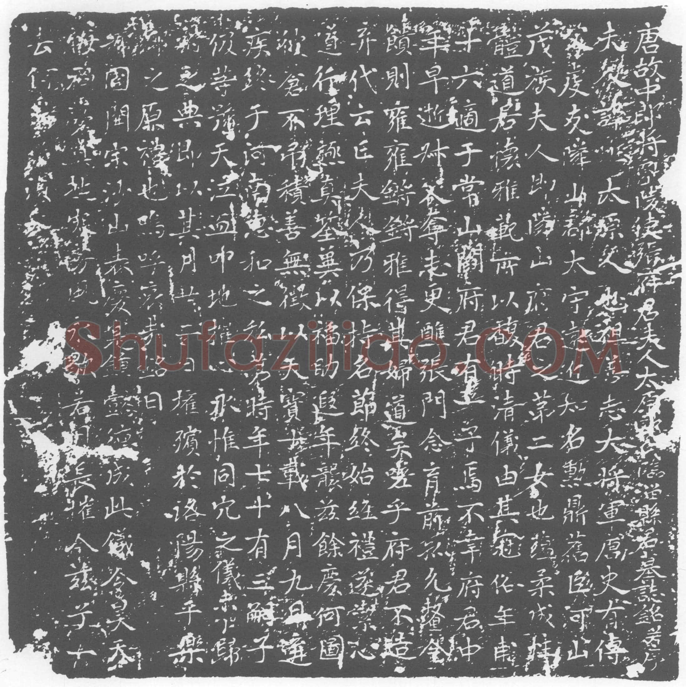 唐 郭氏 郭□ 墓誌