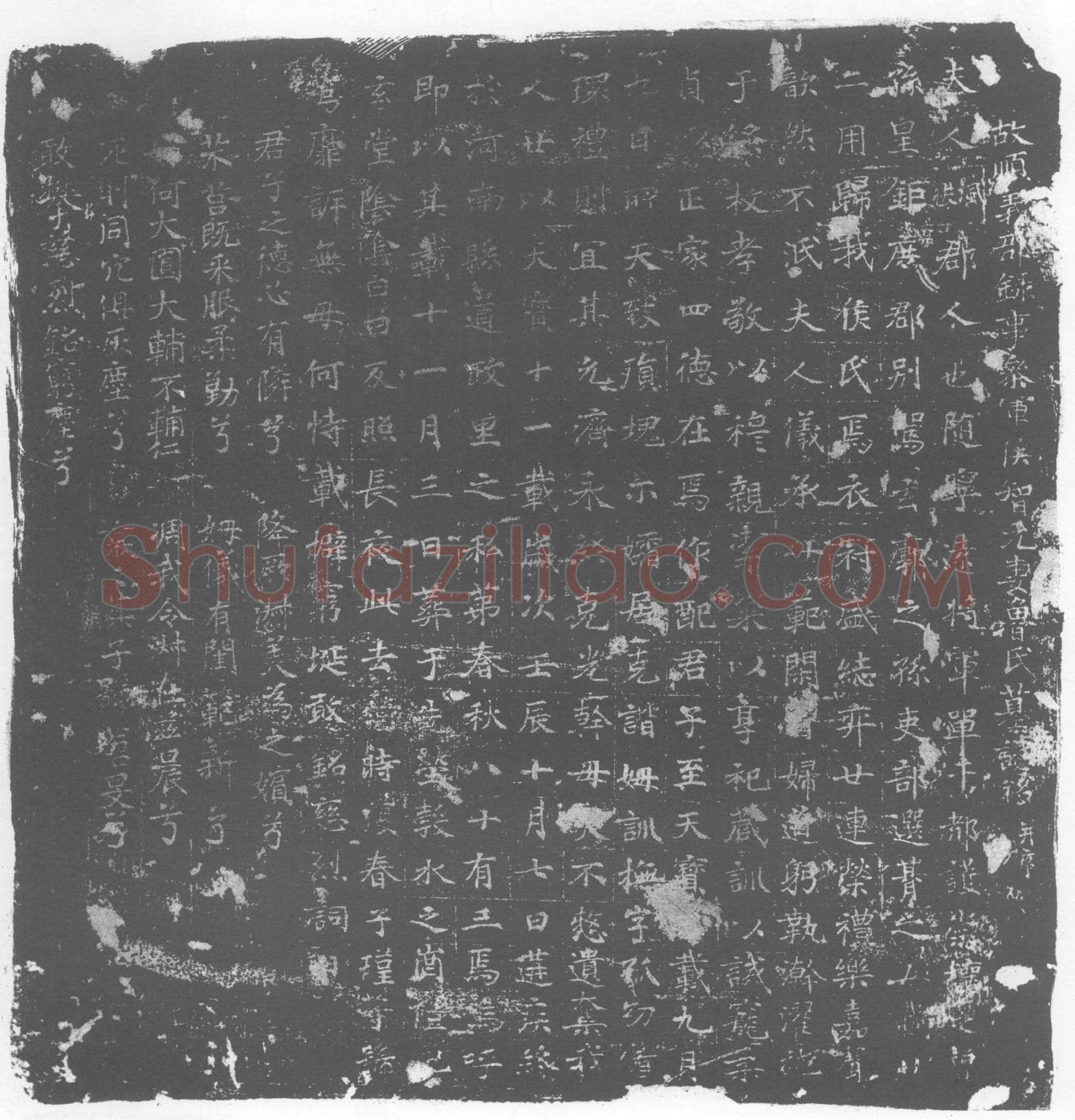 唐 鲁氏 侯智元妻 墓誌