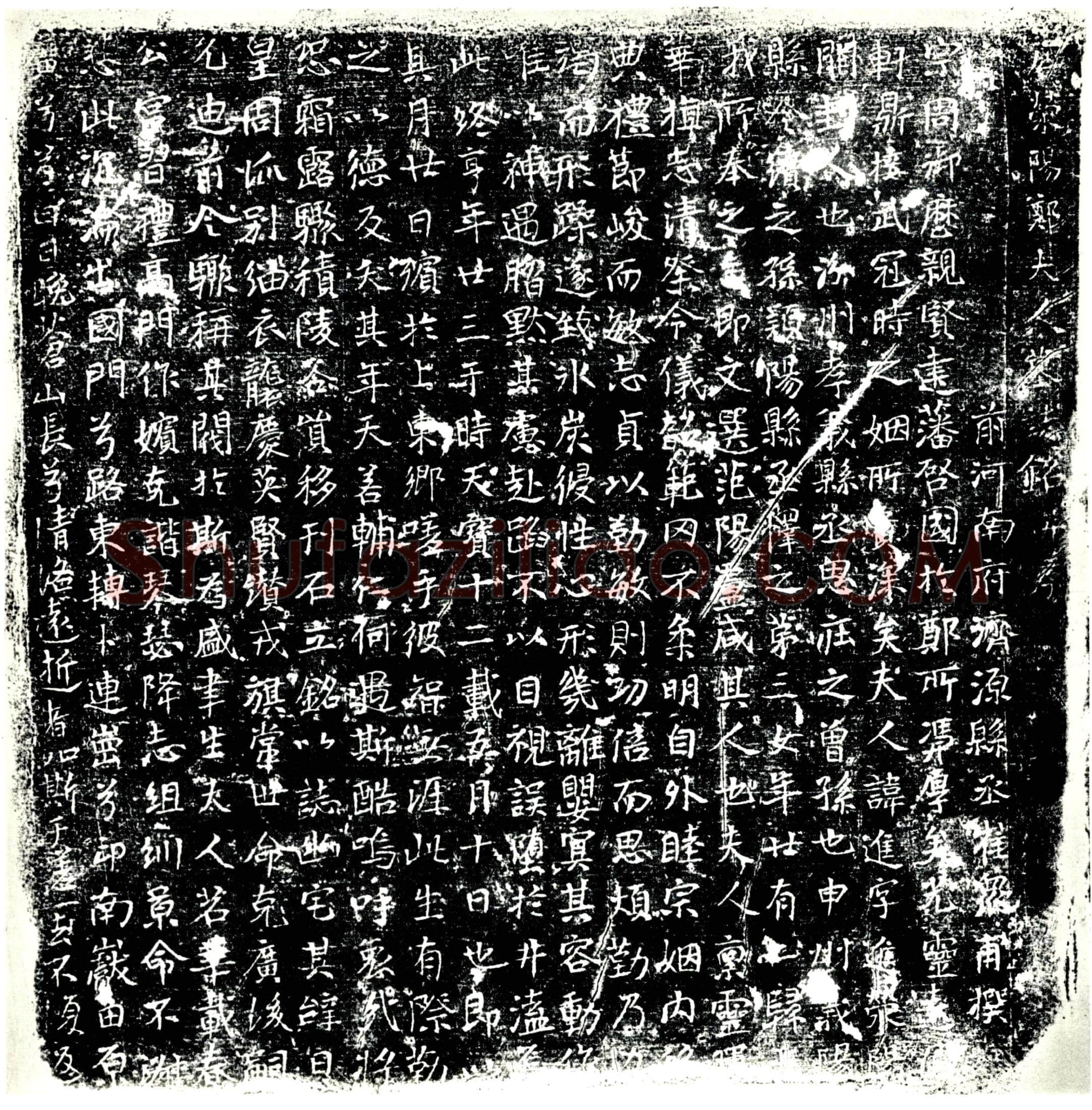 唐 郑进 墓誌