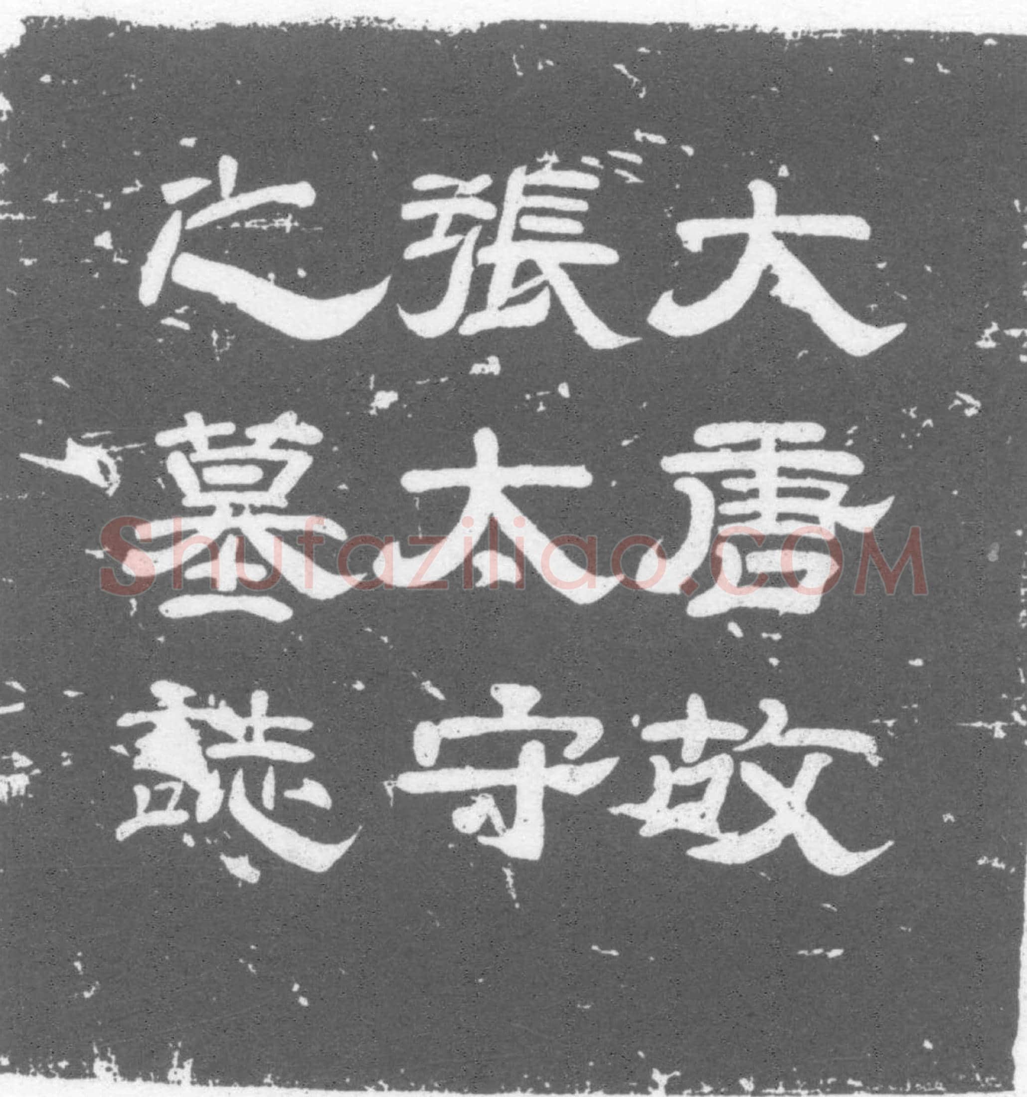 唐 张朏及夫人李氏 墓誌