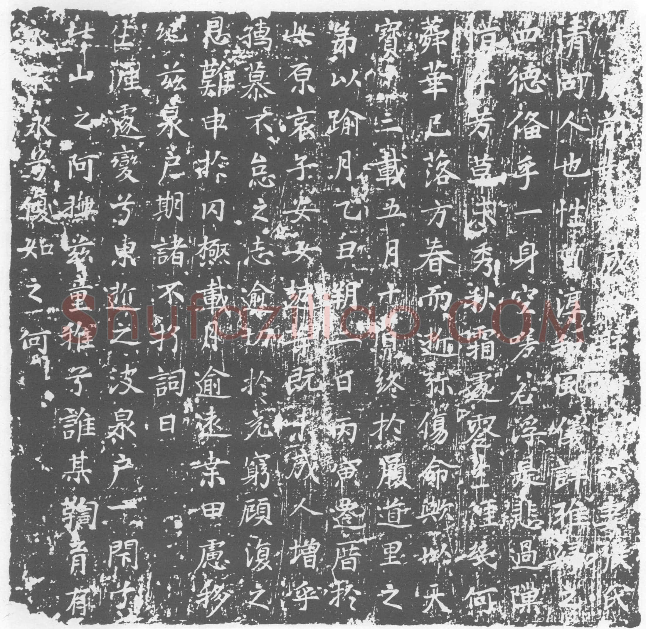唐 张氏 高故妻 墓誌