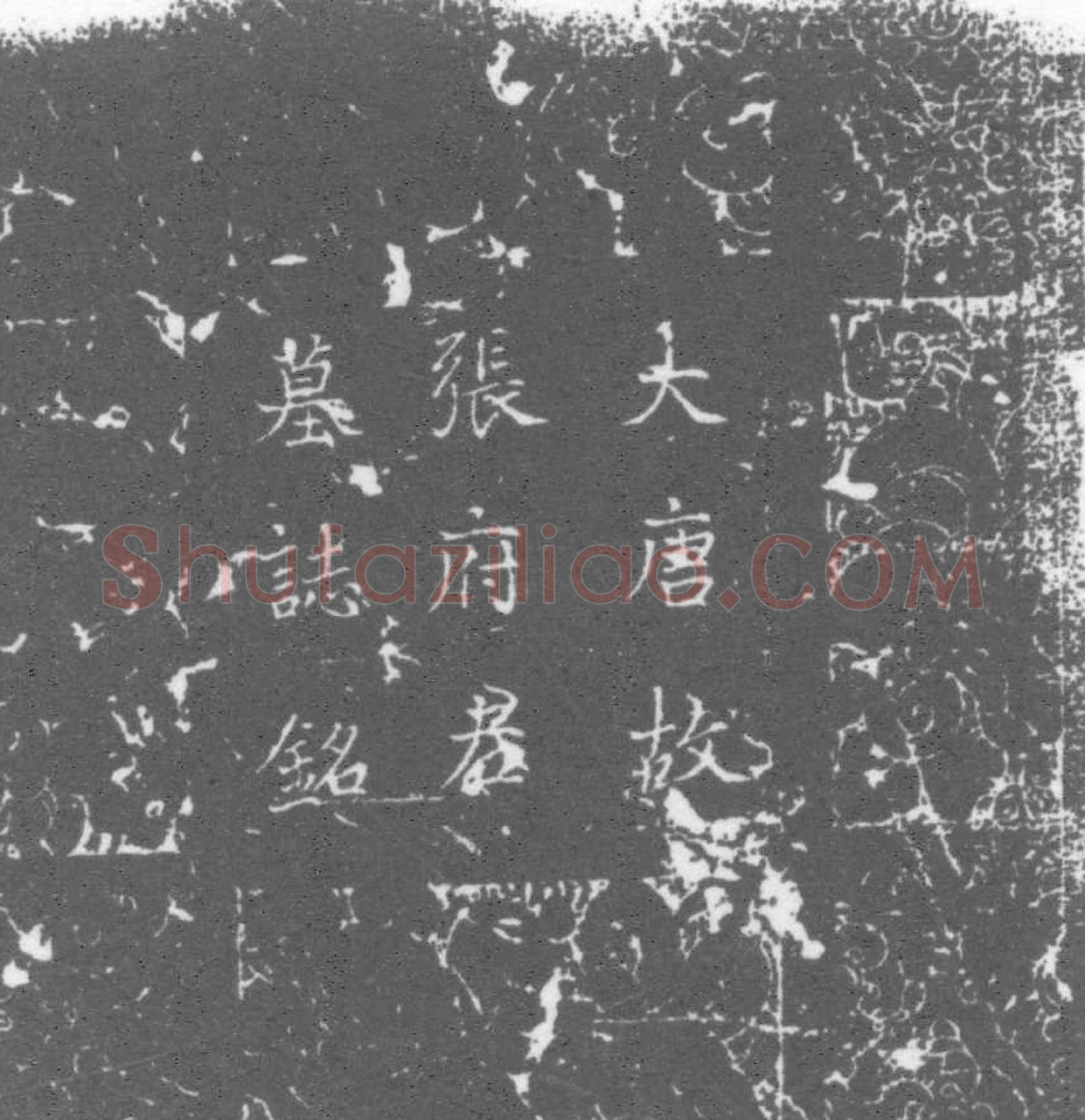 唐 张登山 墓誌