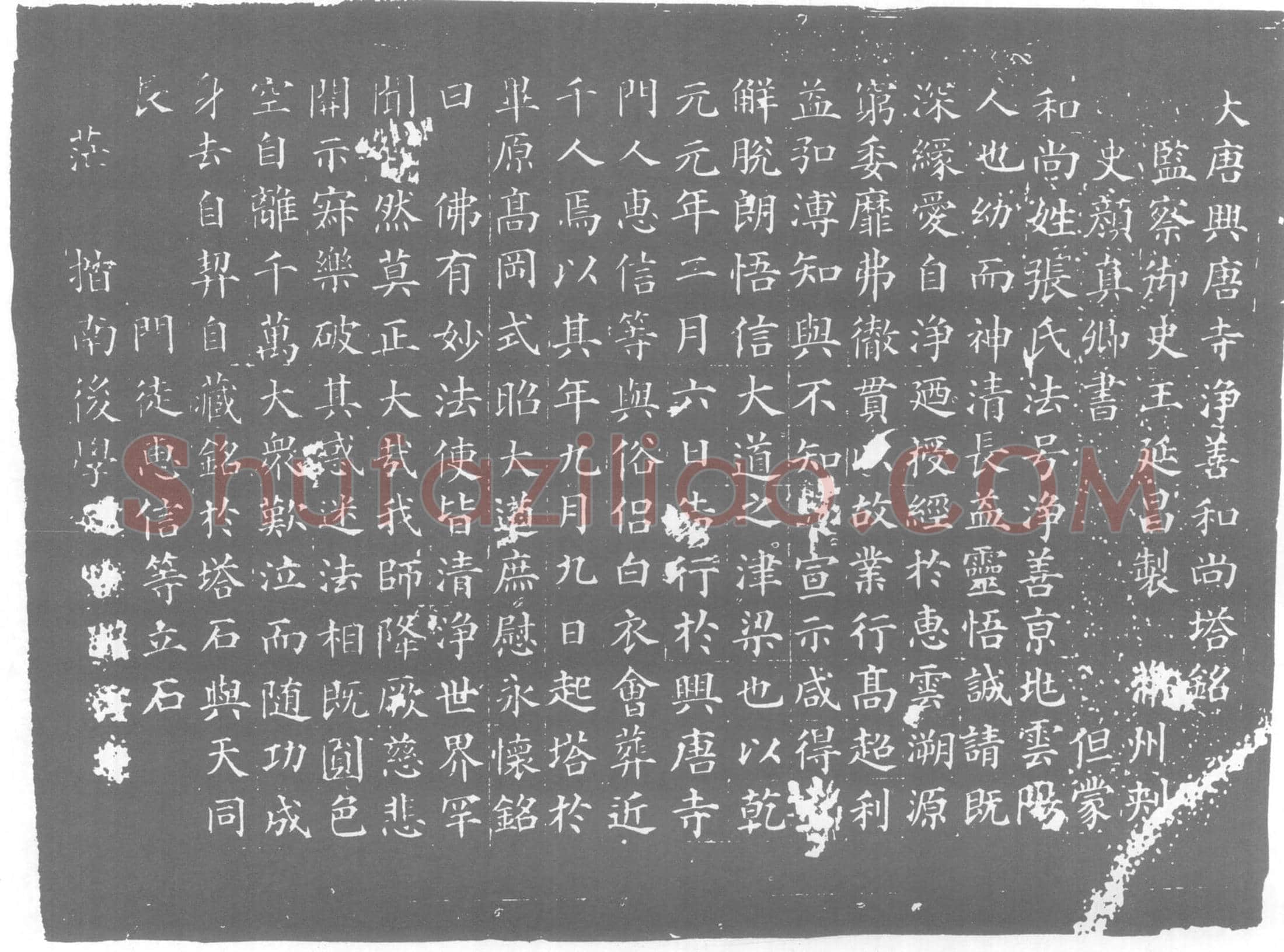 唐张净善，兴唐寺净善和尚墓誌