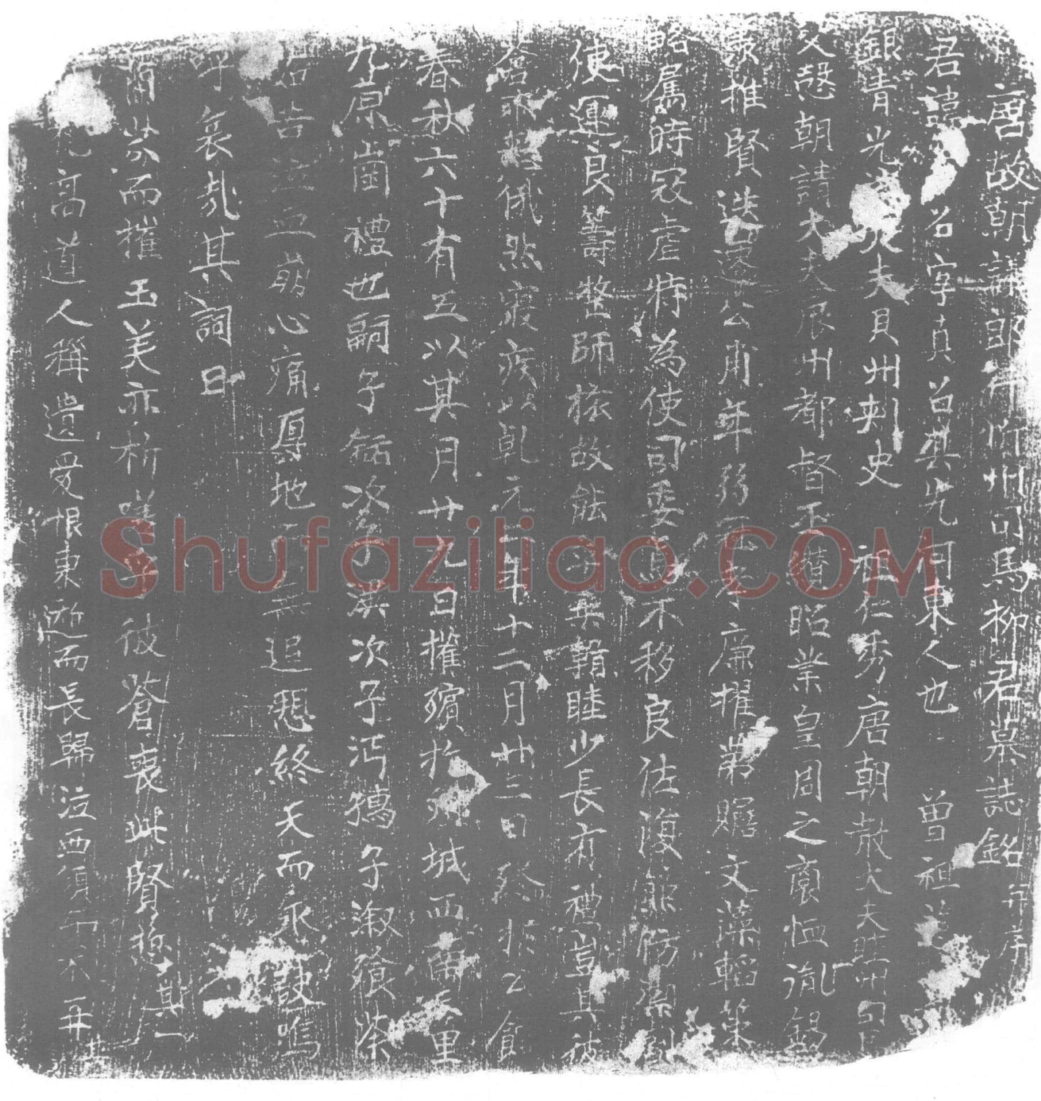 唐 柳真召 墓誌