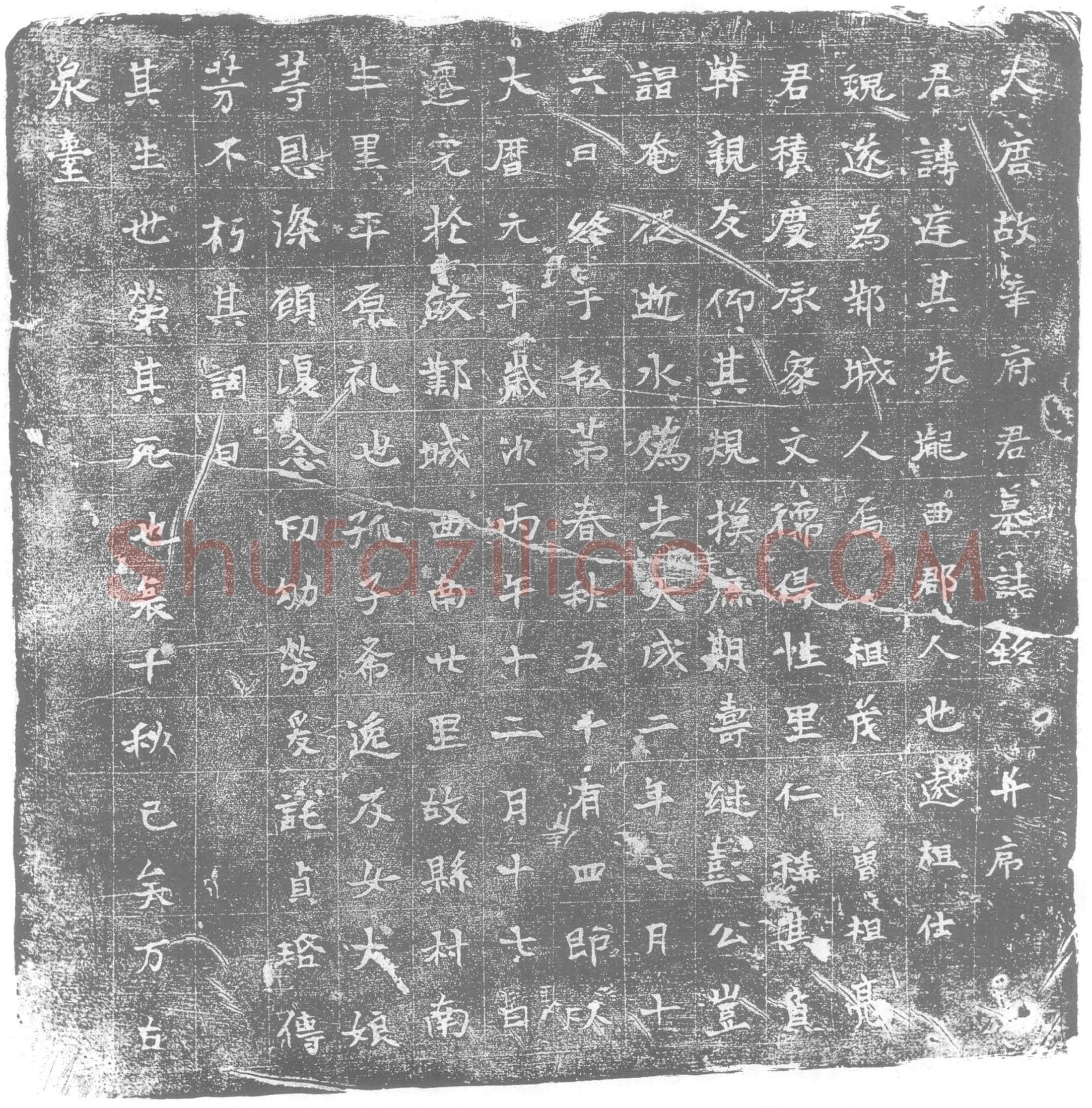 唐 辛庭 墓誌