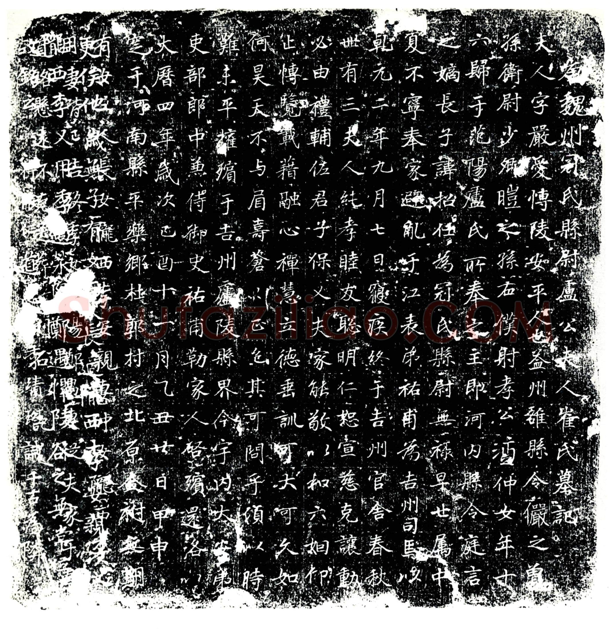 唐 崔严爱 墓誌